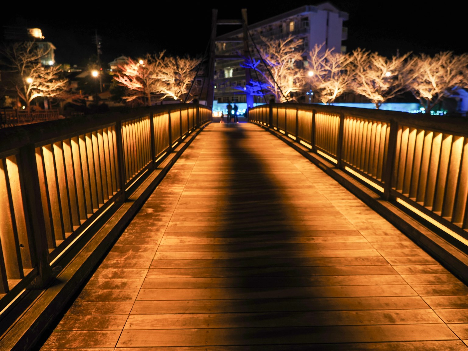 ทิวทัศน์ของสะพานที่สว่างในยามค่ำคืนพร้อมต้นไม้ที่เปล่งแสง