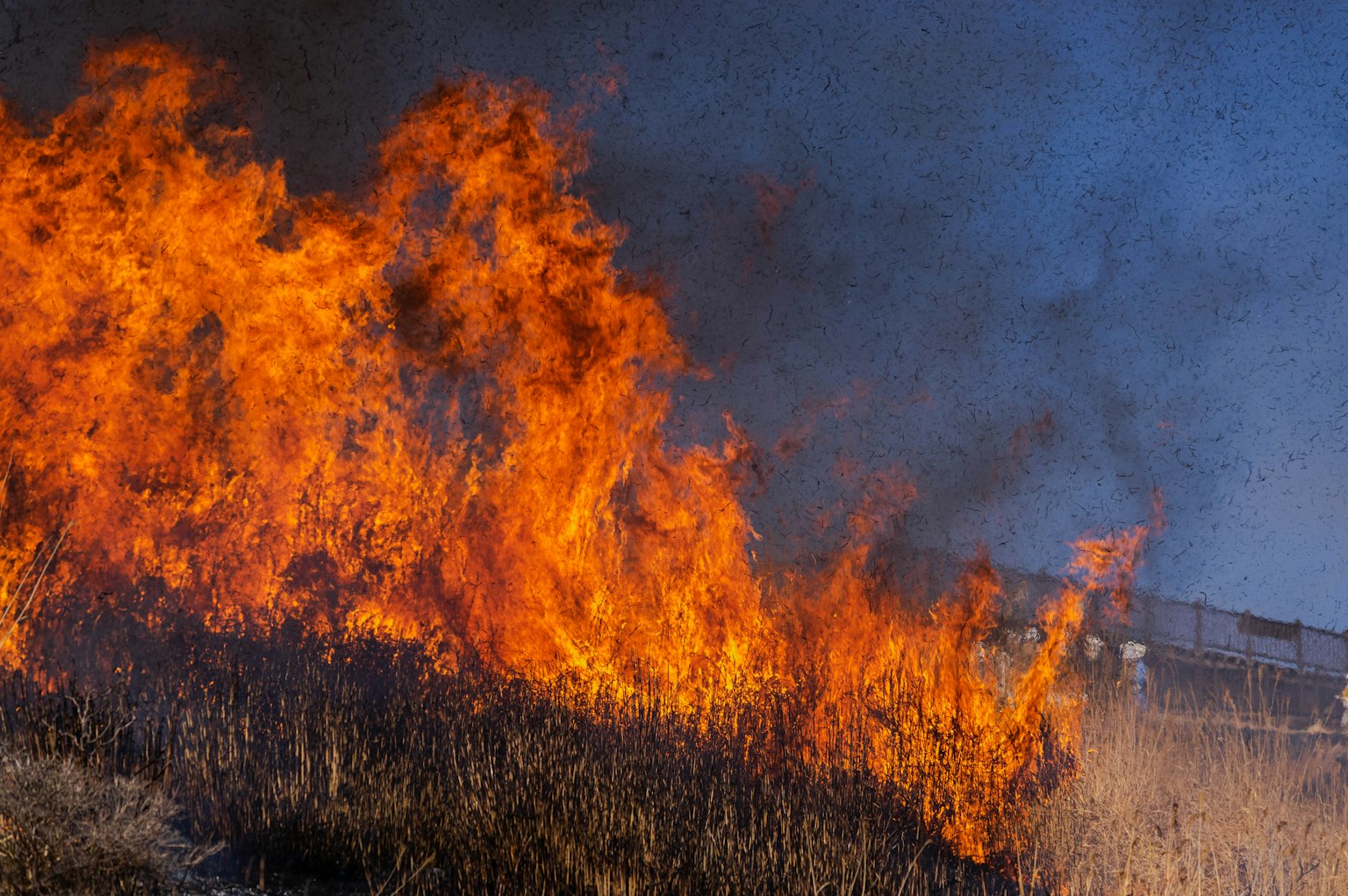 Flammen, die eine grasbewachsene Landschaft einhüllen