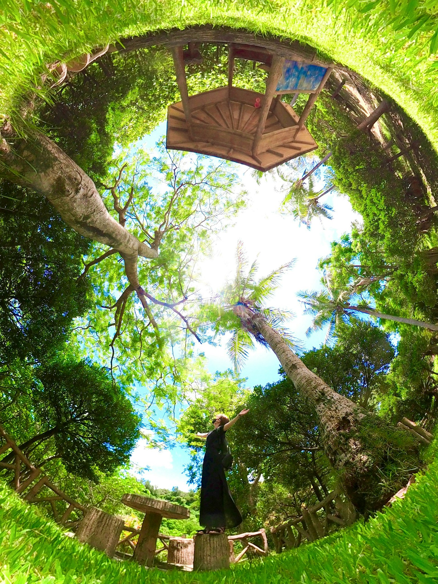 向上看树木和木制树屋的景观，四周被绿色草坪包围