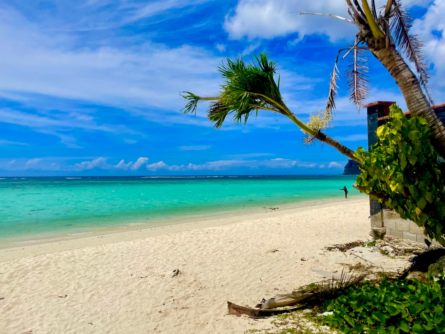 ทิวทัศน์ชายหาดที่มีน้ำสีฟ้าและทรายขาว มีต้นมะพร้าวและท้องฟ้าสีฟ้า