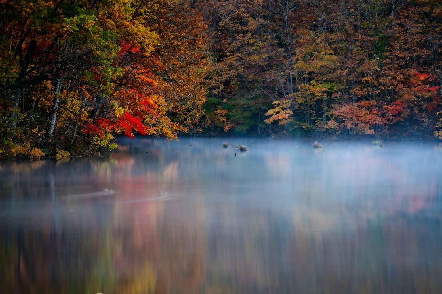 秋の紅葉が映る静かな湖の風景霧がかかり色とりどりの木々が湖面に映る