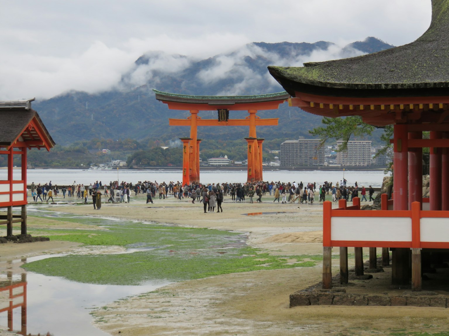 Vista de la puerta torii icónica del santuario de Itsukushima con turistas