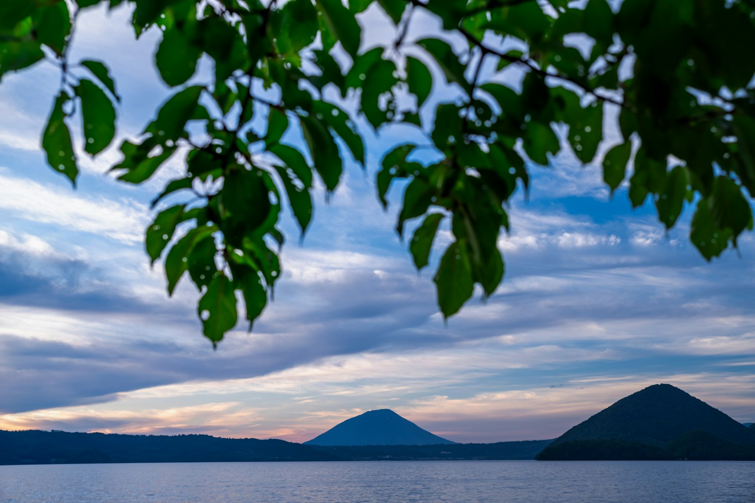 Acercamiento de hojas con un lago y siluetas de montañas al fondo