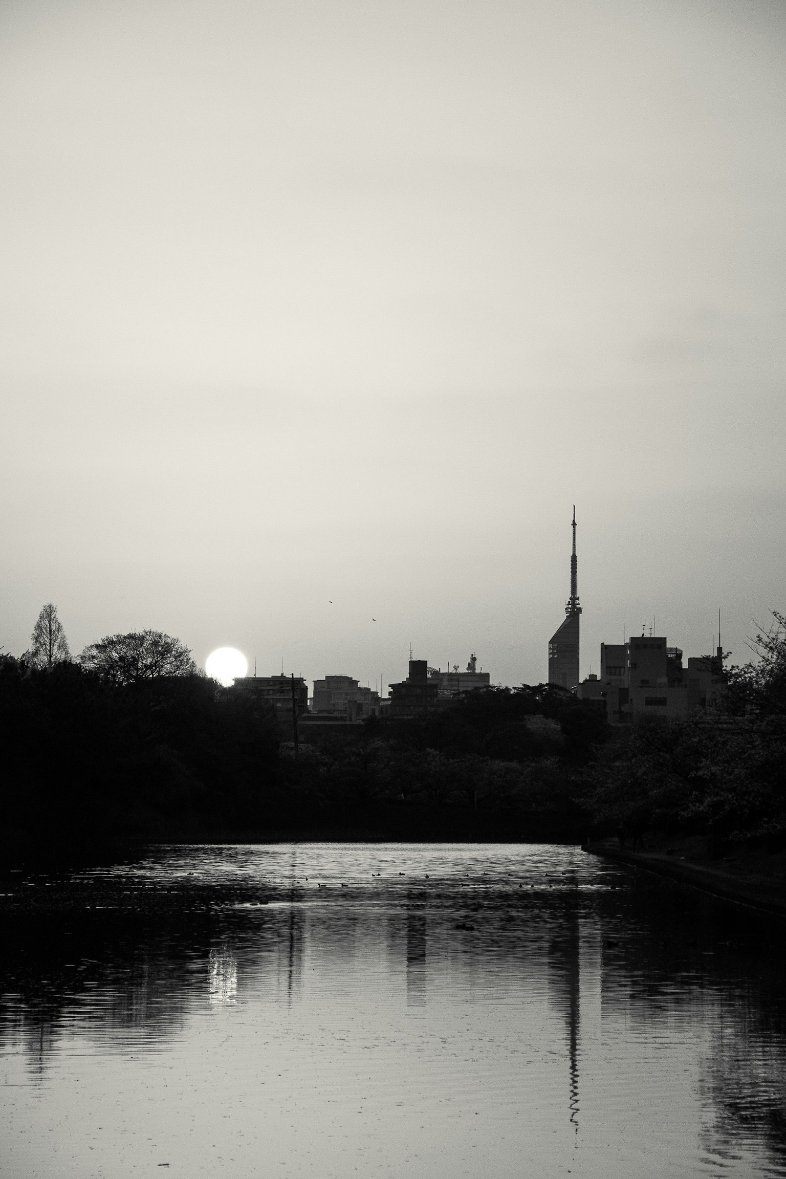 Silhouette di un skyline cittadino con un tramonto su un fiume