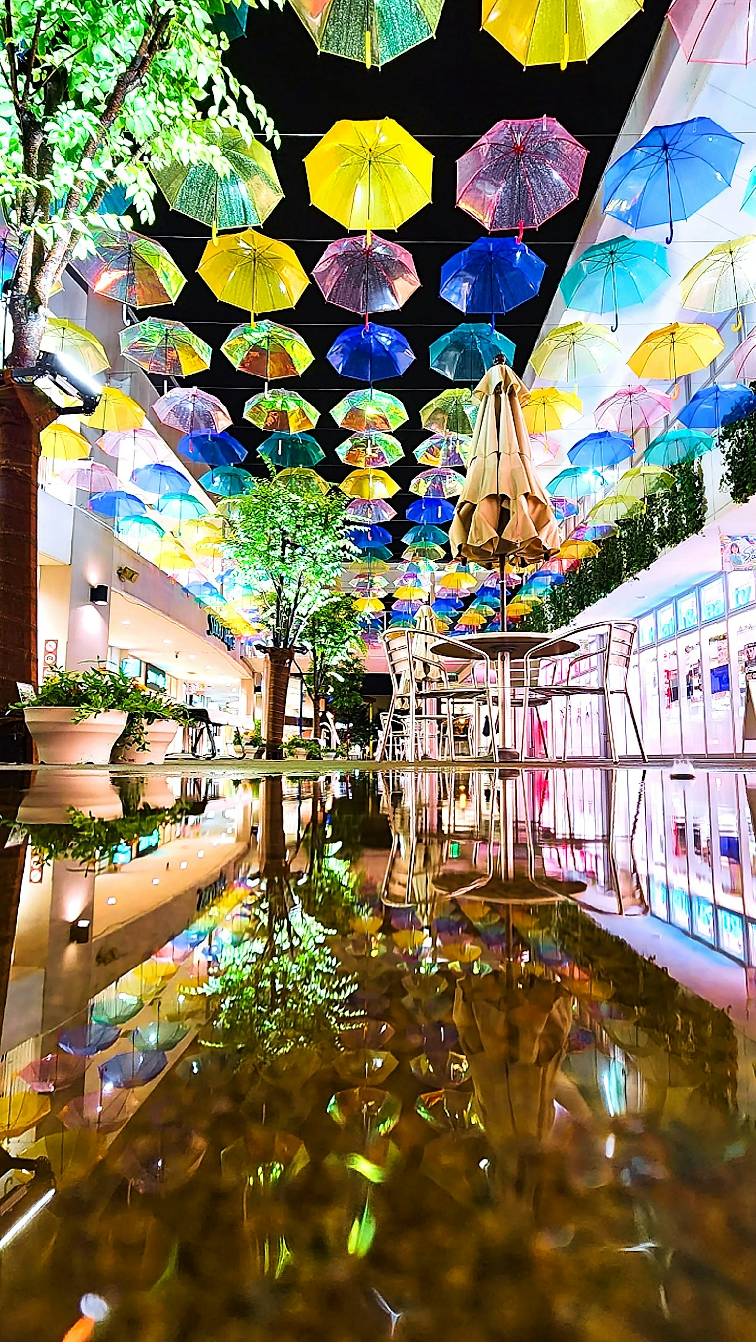 ภาพสวยงามที่แสดงร่มหลากสีที่แขวนอยู่ในพื้นที่ในร่มพร้อมกับการสะท้อน