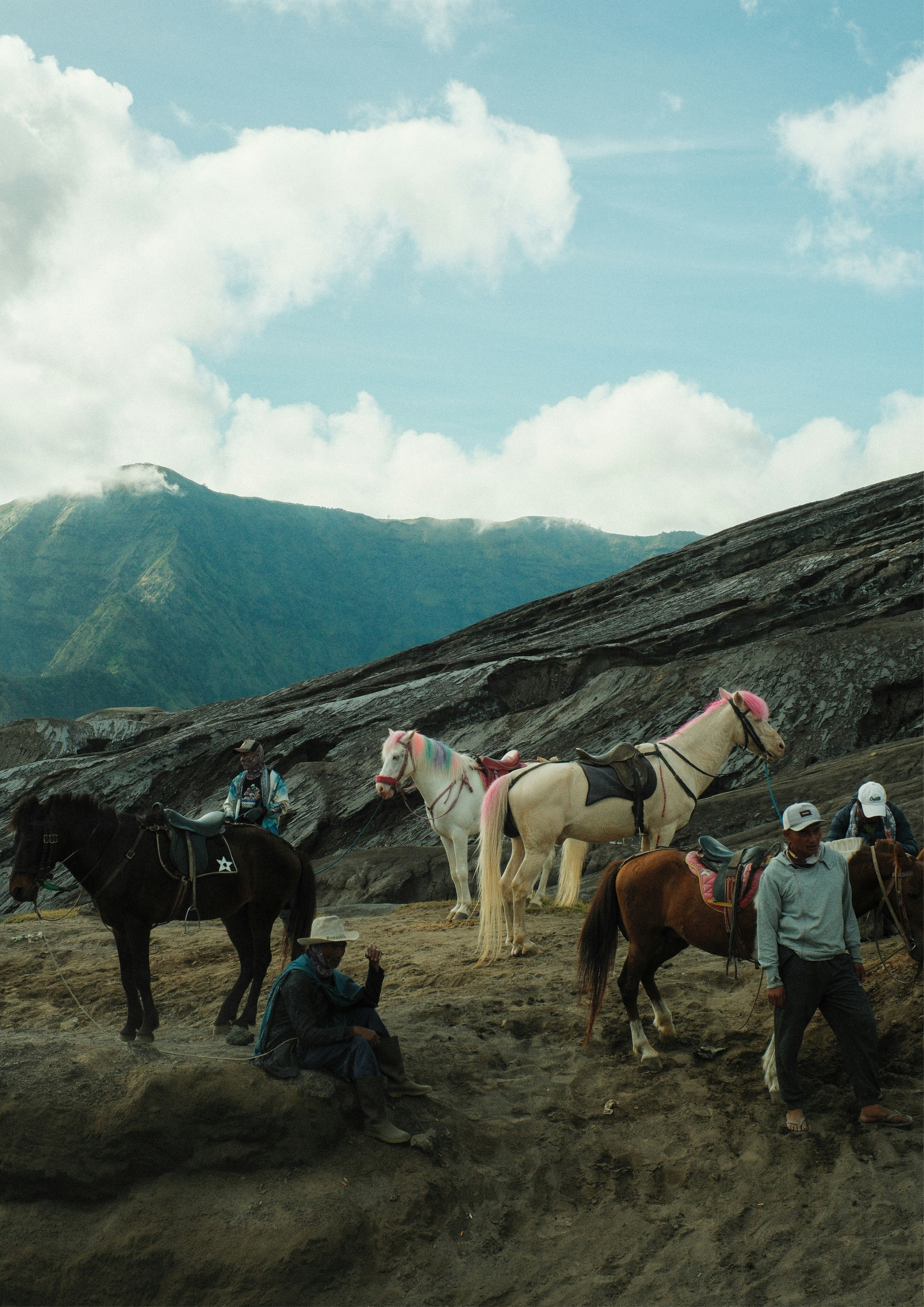 カラフルな馬が並ぶ火山の山麓の風景