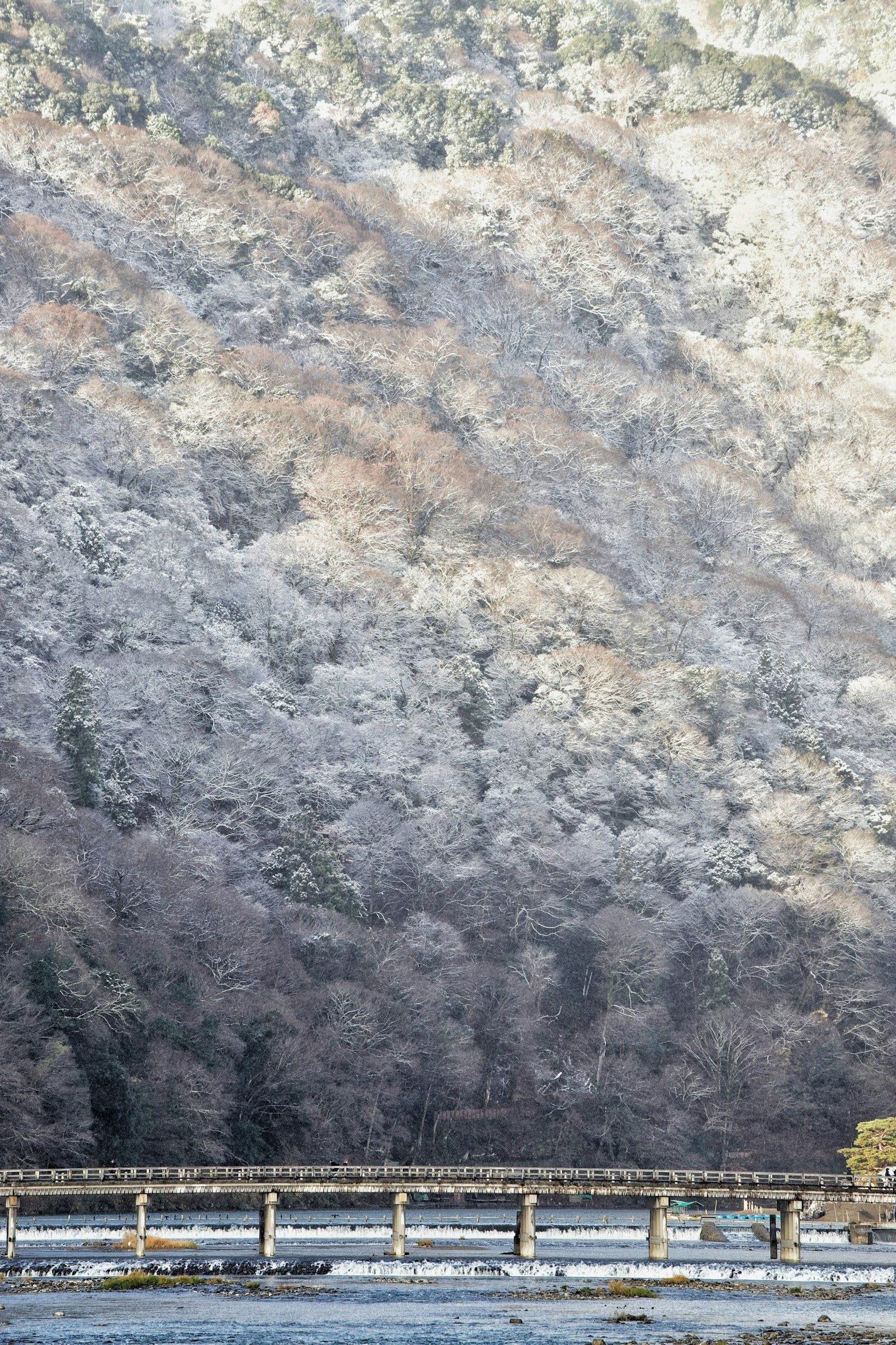橫跨河流的木橋，背景是被雪覆蓋的山丘