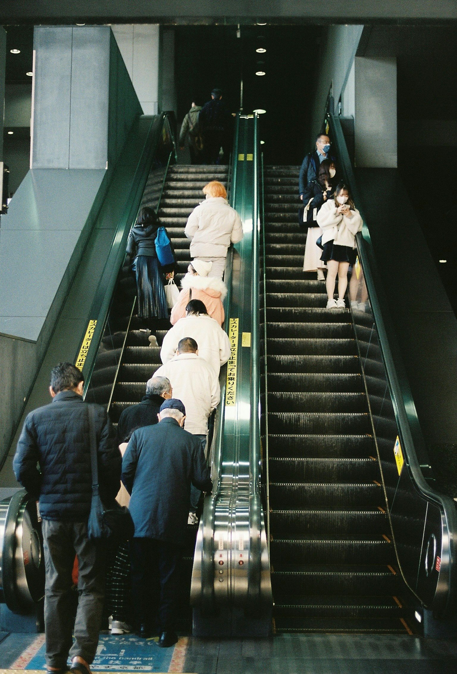 photo-1WX4BCeSwQ8MTbvzHTJs-image