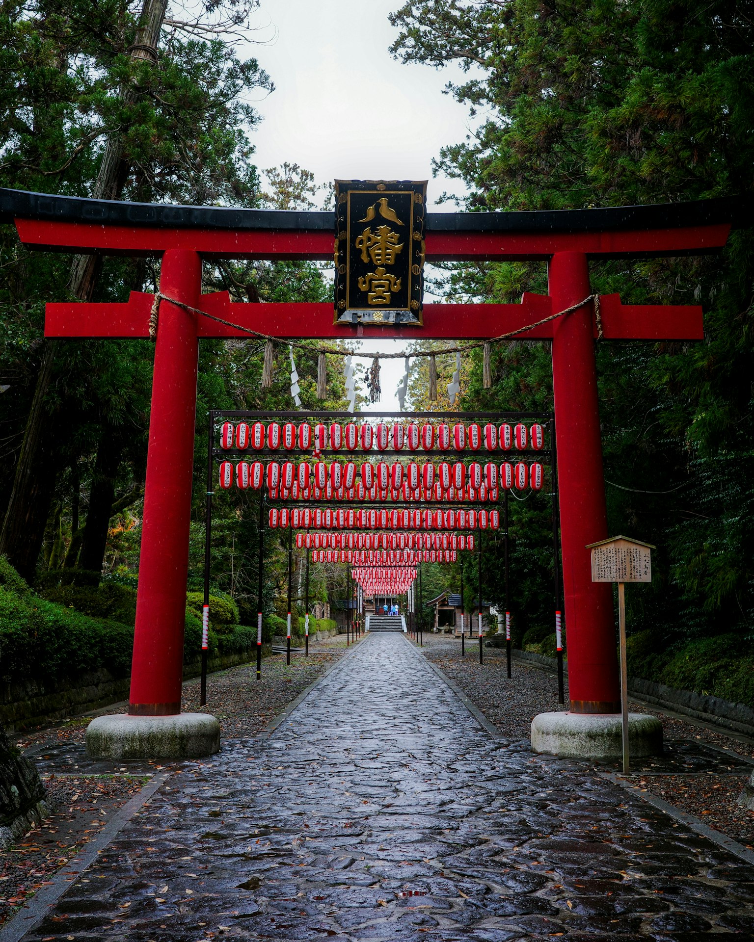 Pathway lined with red torii gates surrounded by lush greenery