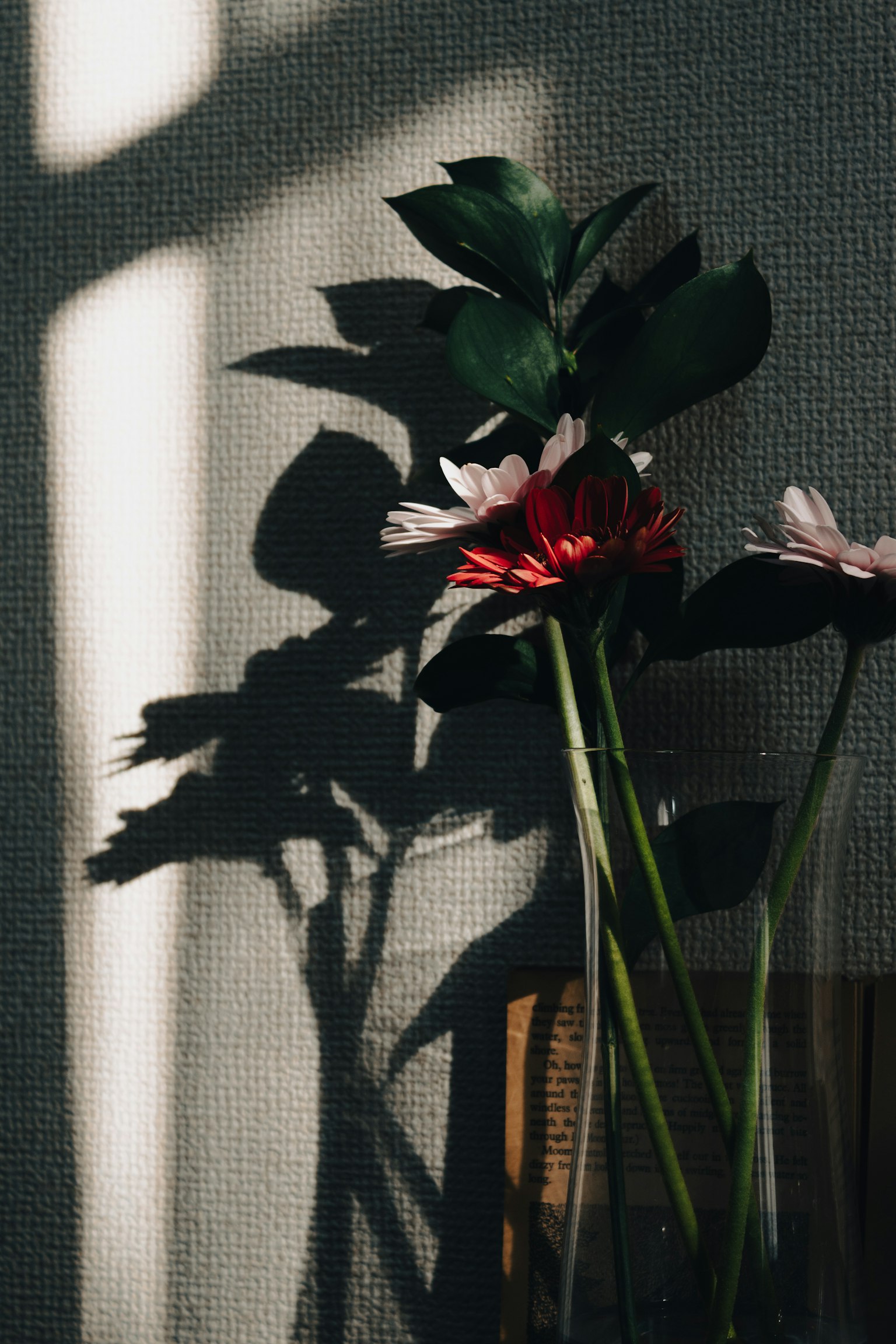 影が映る花瓶の中の赤い花と緑の葉