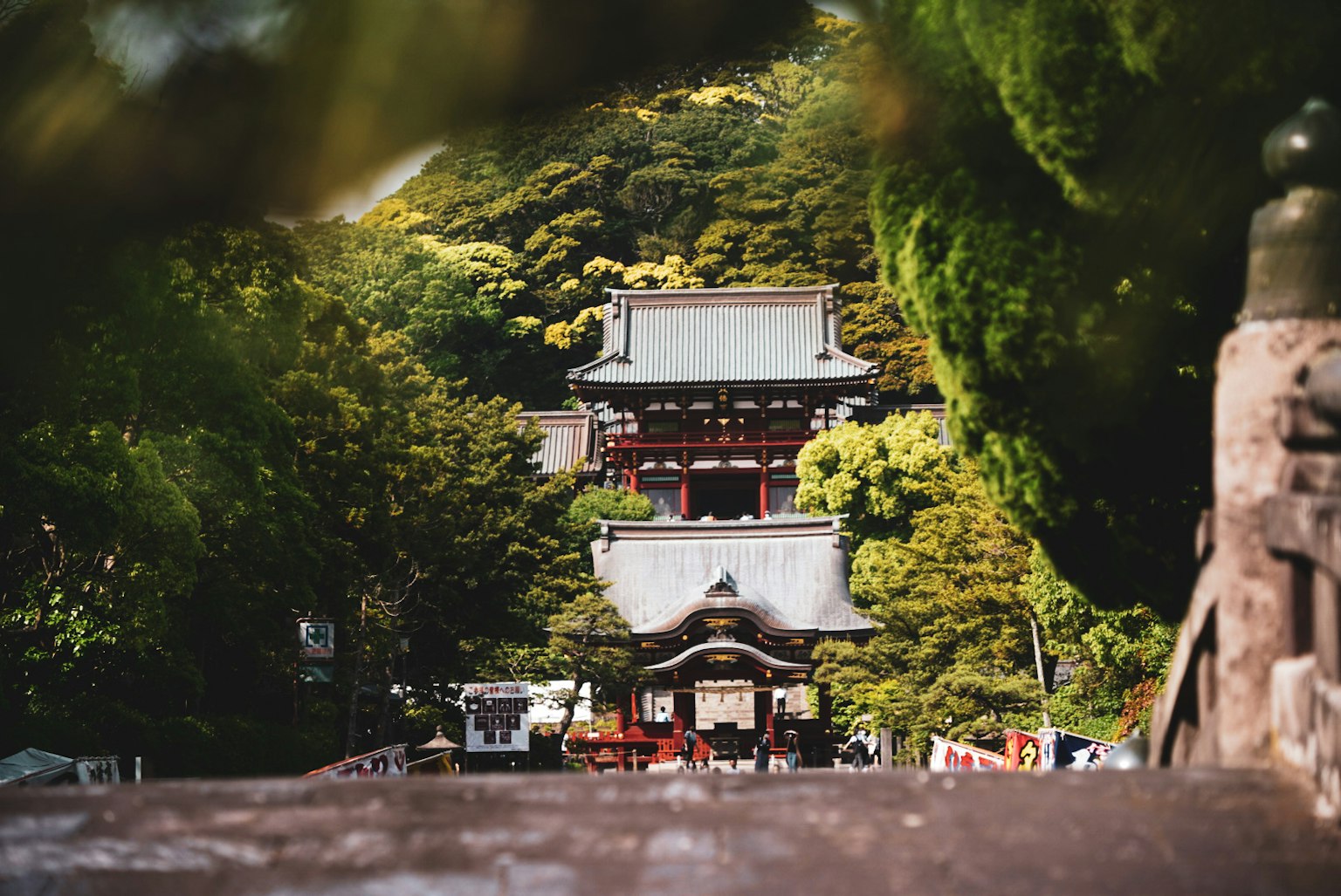美麗的日本神社景色 被郁郁蔥蔥的綠樹環繞