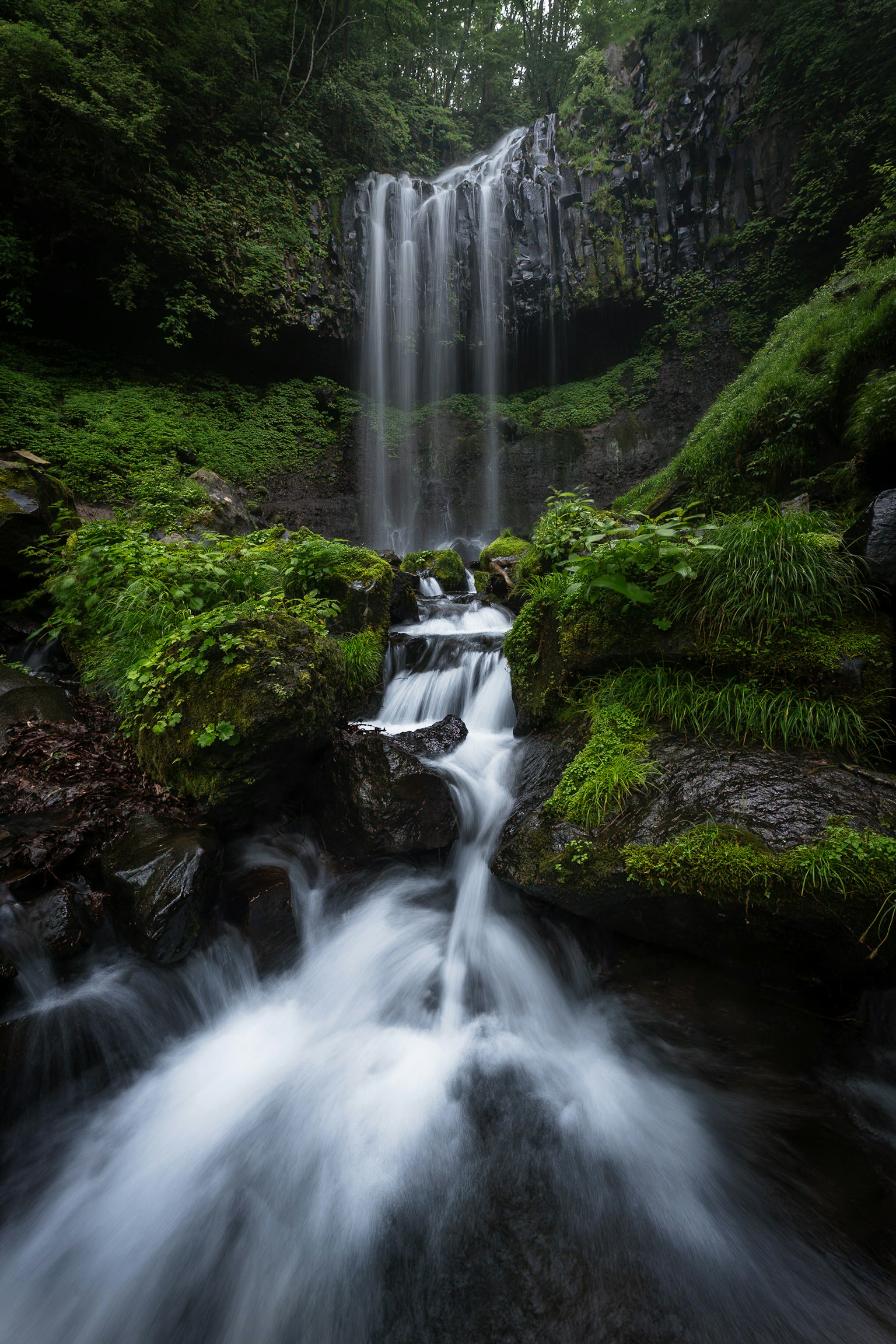 Paysage magnifique d'une cascade et d'eau qui coule dans une forêt luxuriante