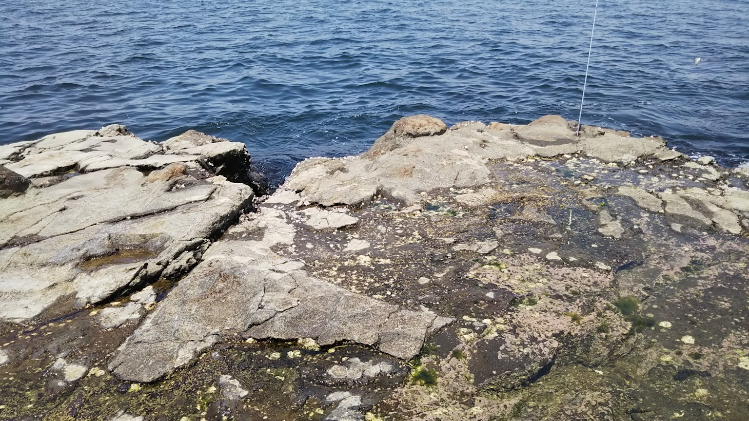 Felsige Küste nahe ruhigem Wasser