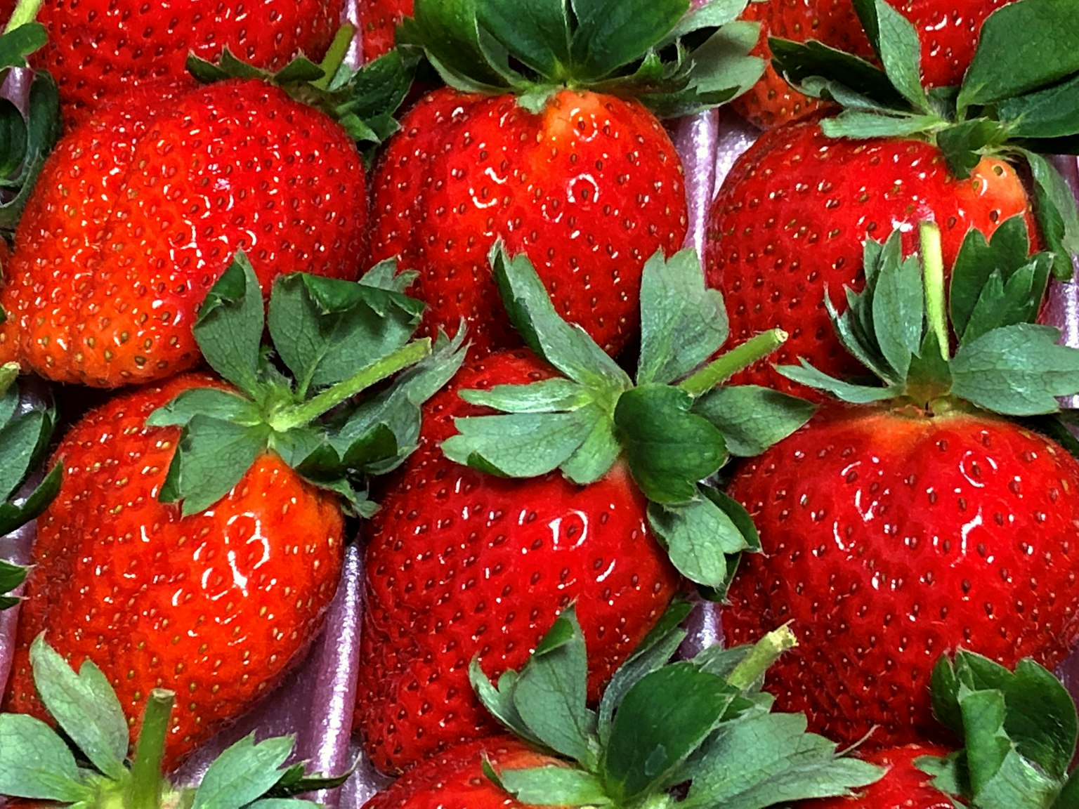 Fresh red strawberries arranged in a packaging