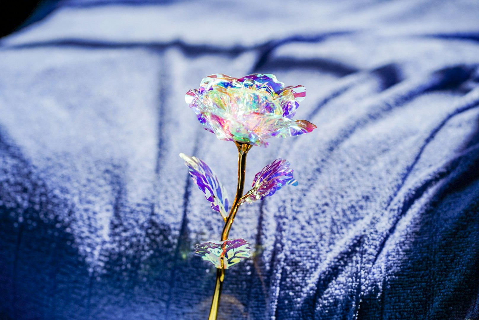petit bouquet de fleurs colorées sur un tissu bleu