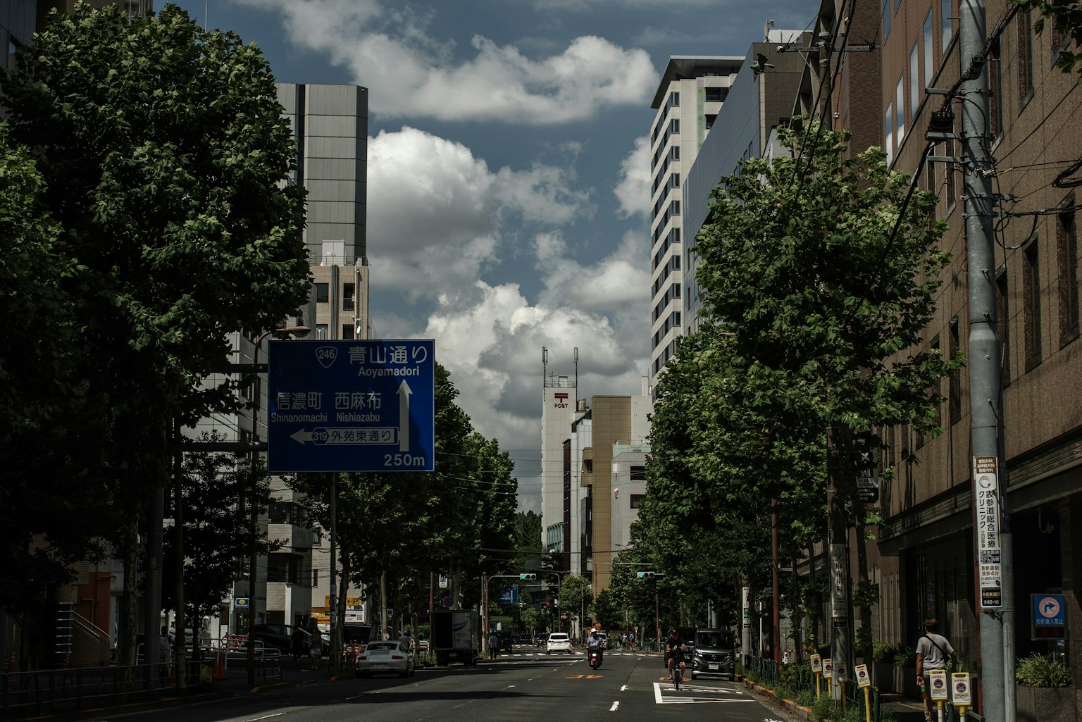 Paesaggio urbano con alberi lungo la strada e grattacieli sotto un cielo nuvoloso