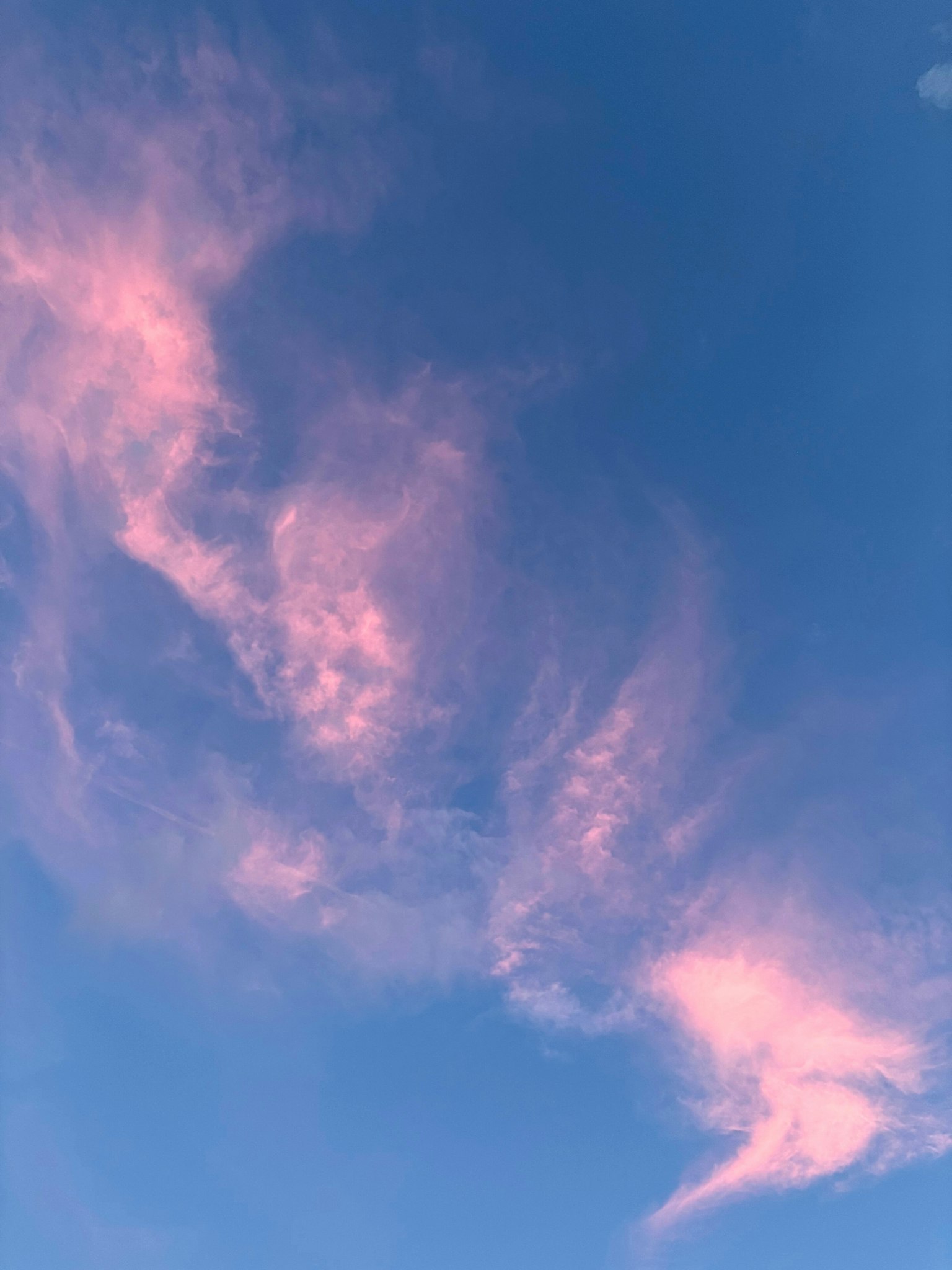 Nuages roses doux dans un ciel bleu