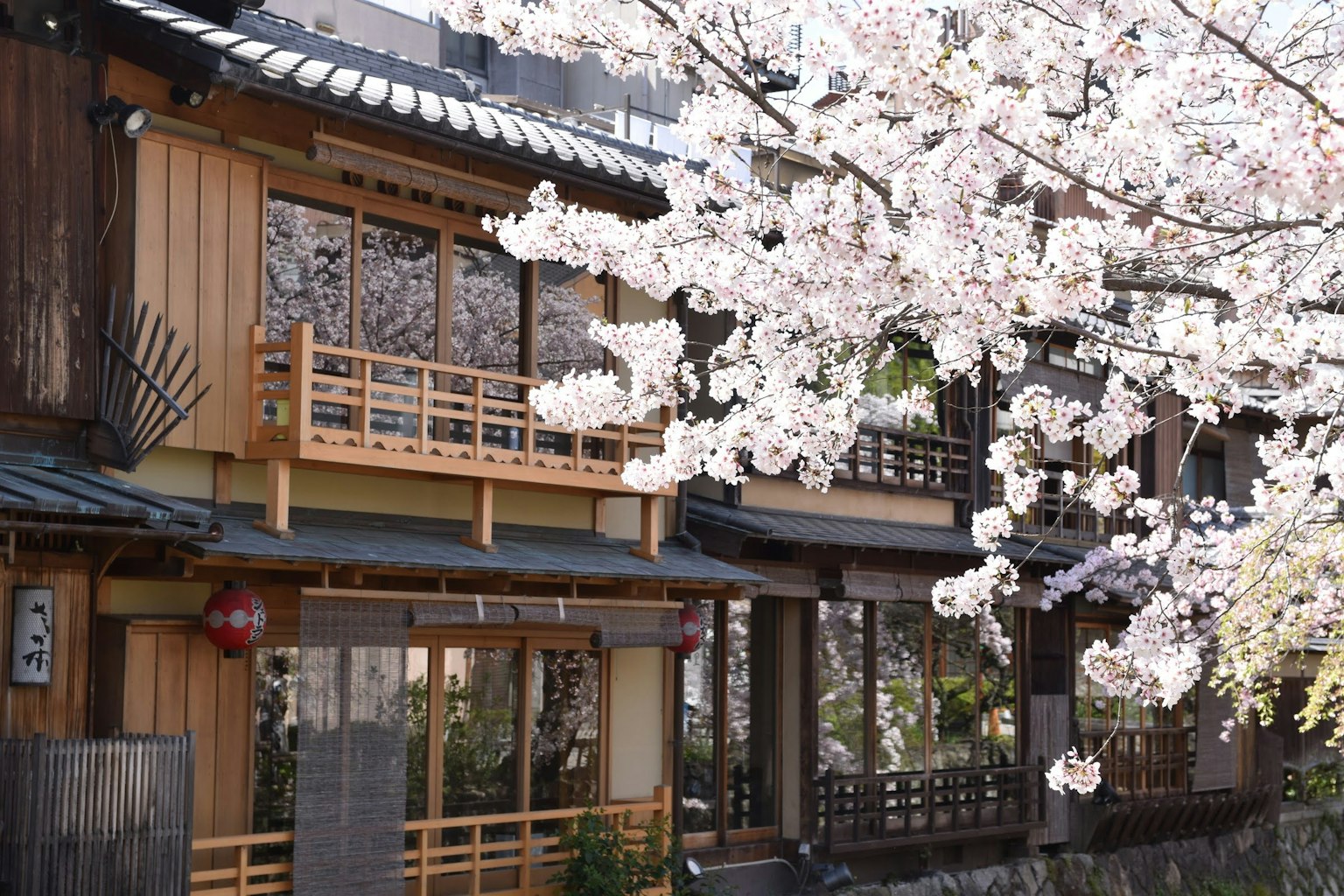 Bâtiment japonais traditionnel sous des cerisiers en fleurs avec un paysage magnifique