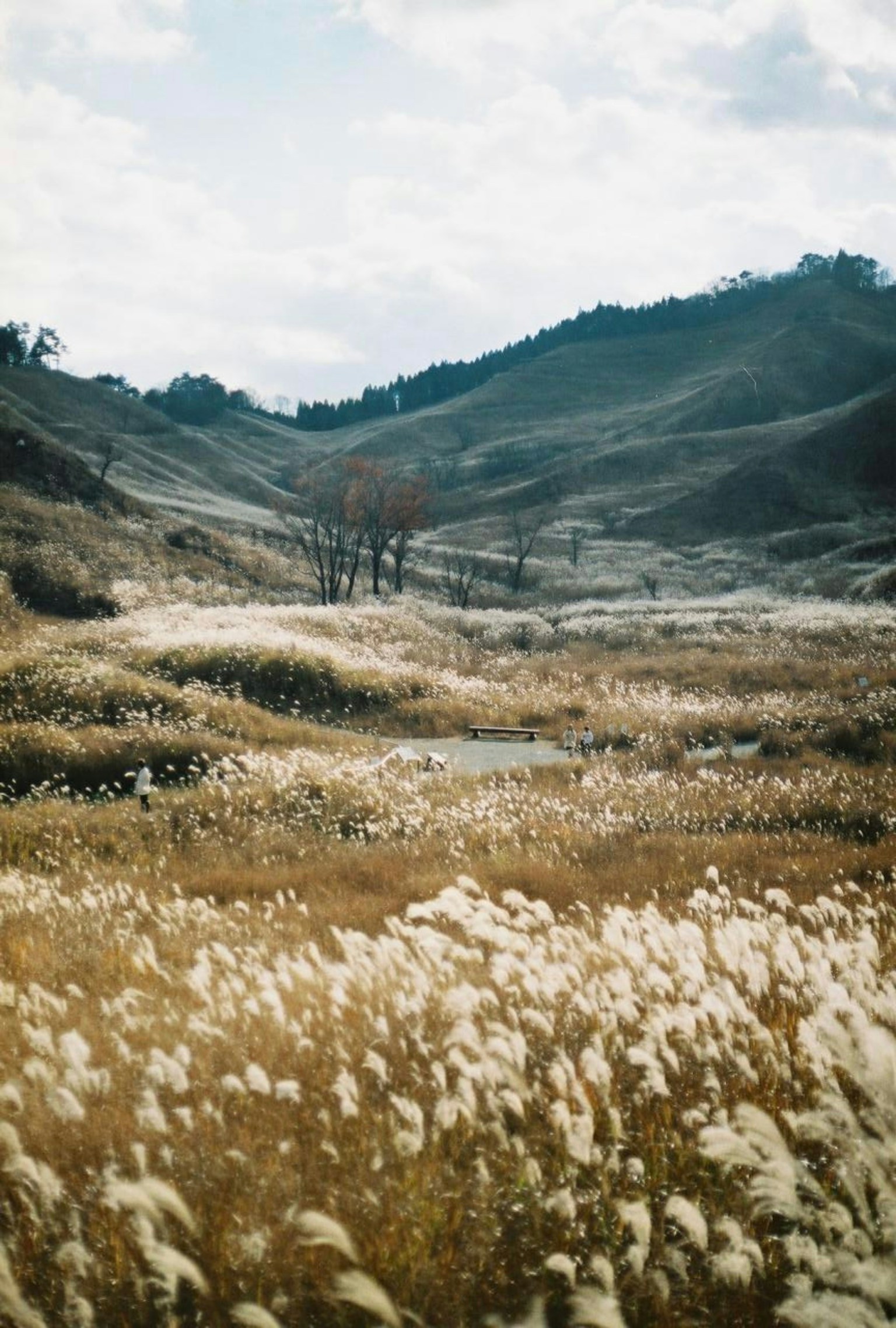 photo-1aFxlQYmfBM2I0KoQ6XC-image