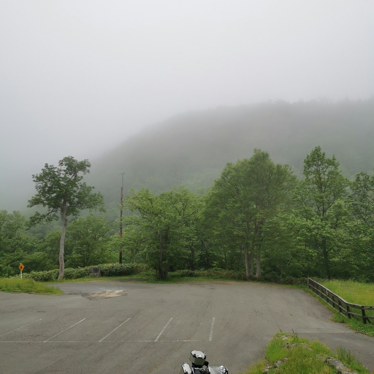 雾蒙蒙的风景，茂盛的绿色树木和灰色天空