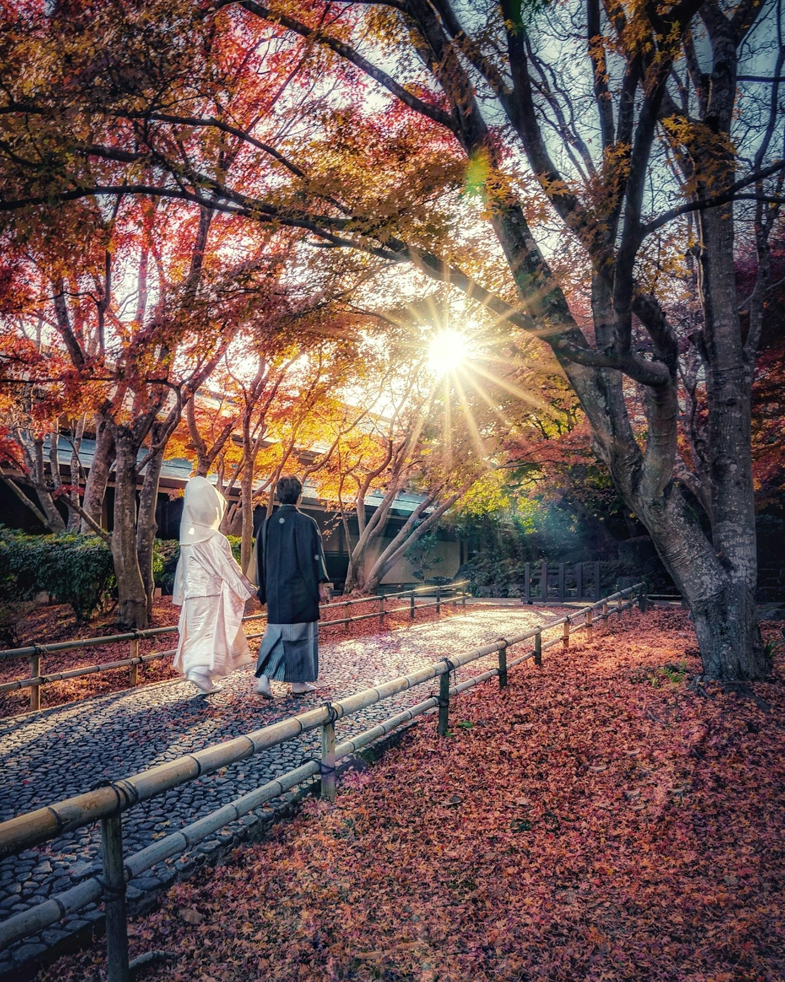 가을 단풍 속에서 햇빛을 받으며 걷는 커플