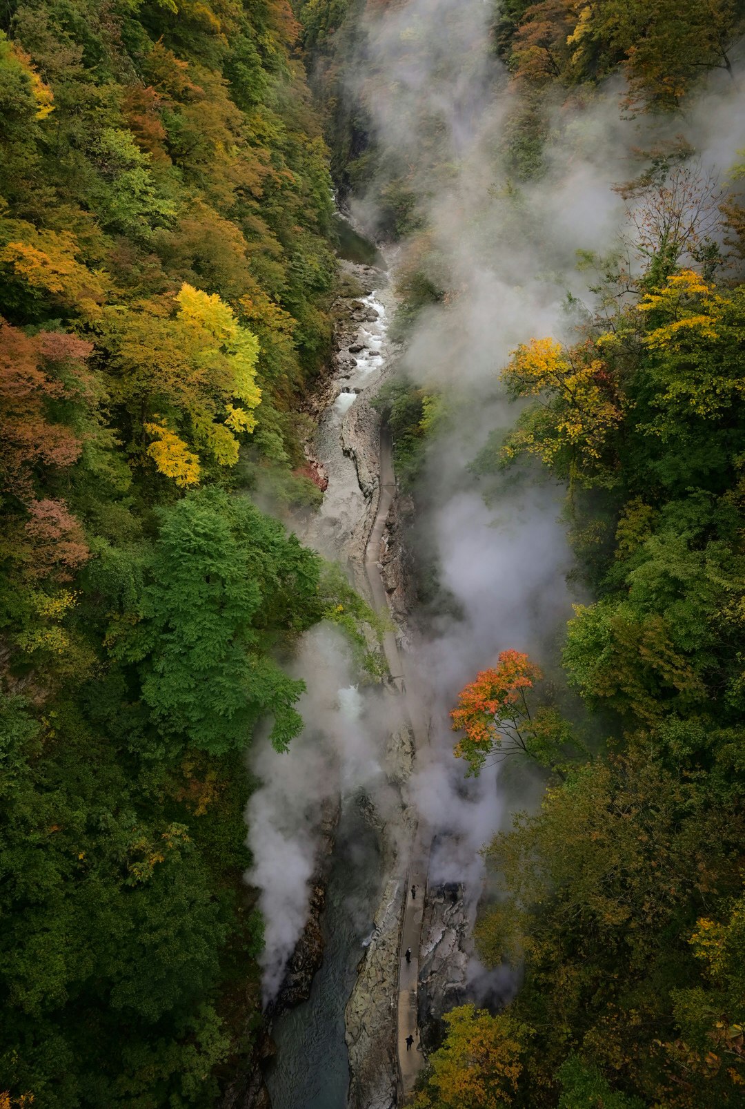 gorge fluviale avec de la brume qui s’élève de l’eau