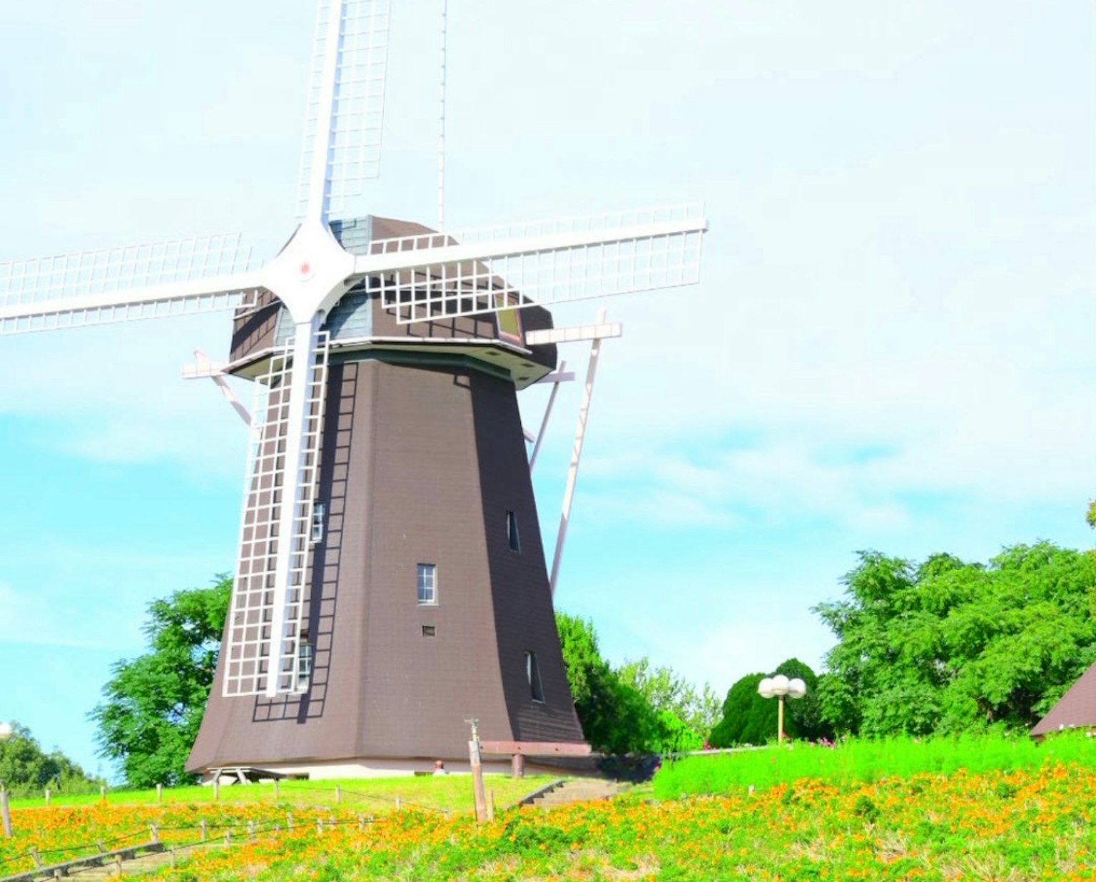 photo-1bXlJaN7ATuQqQO0tGKd-image