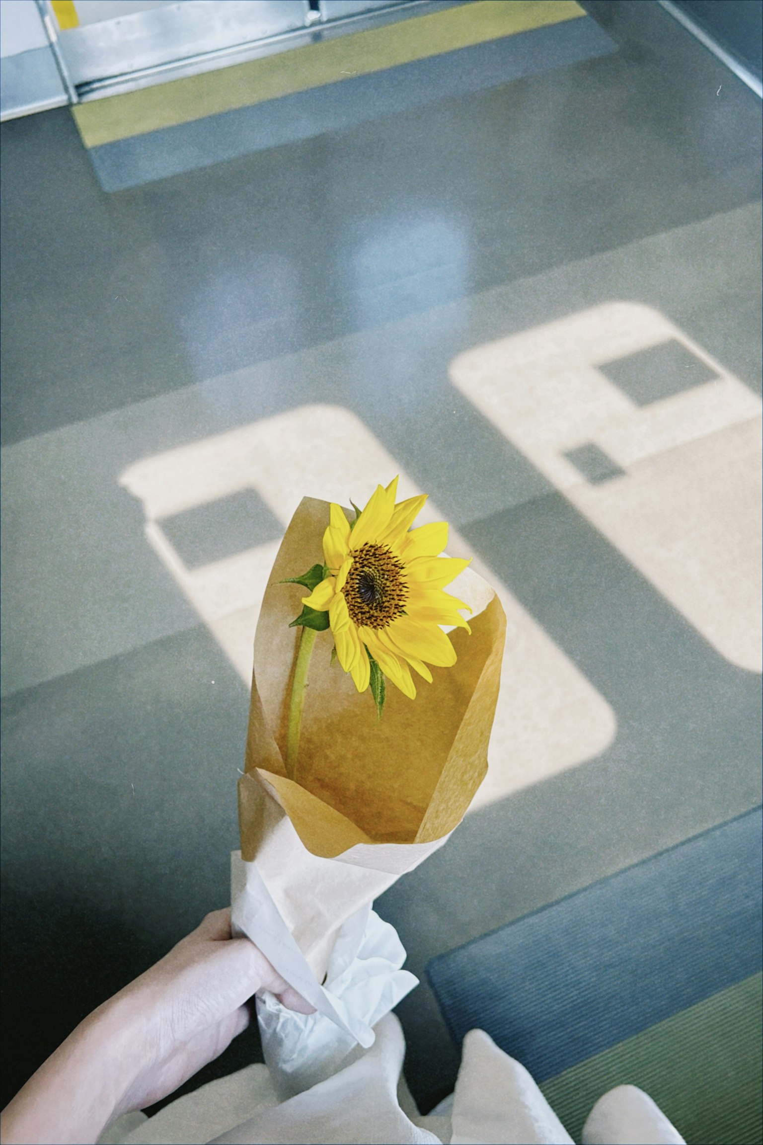 Un mazzo di girasoli tenuto in mano in un ambiente interno luminoso