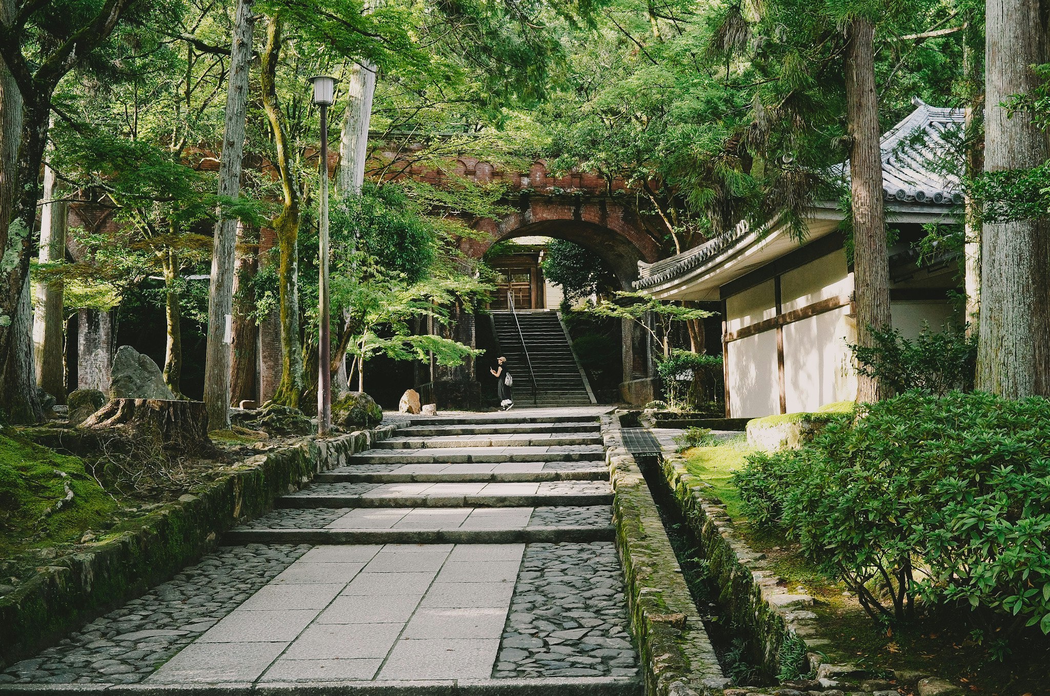 南禅寺の石畳と苔むす庭の参道