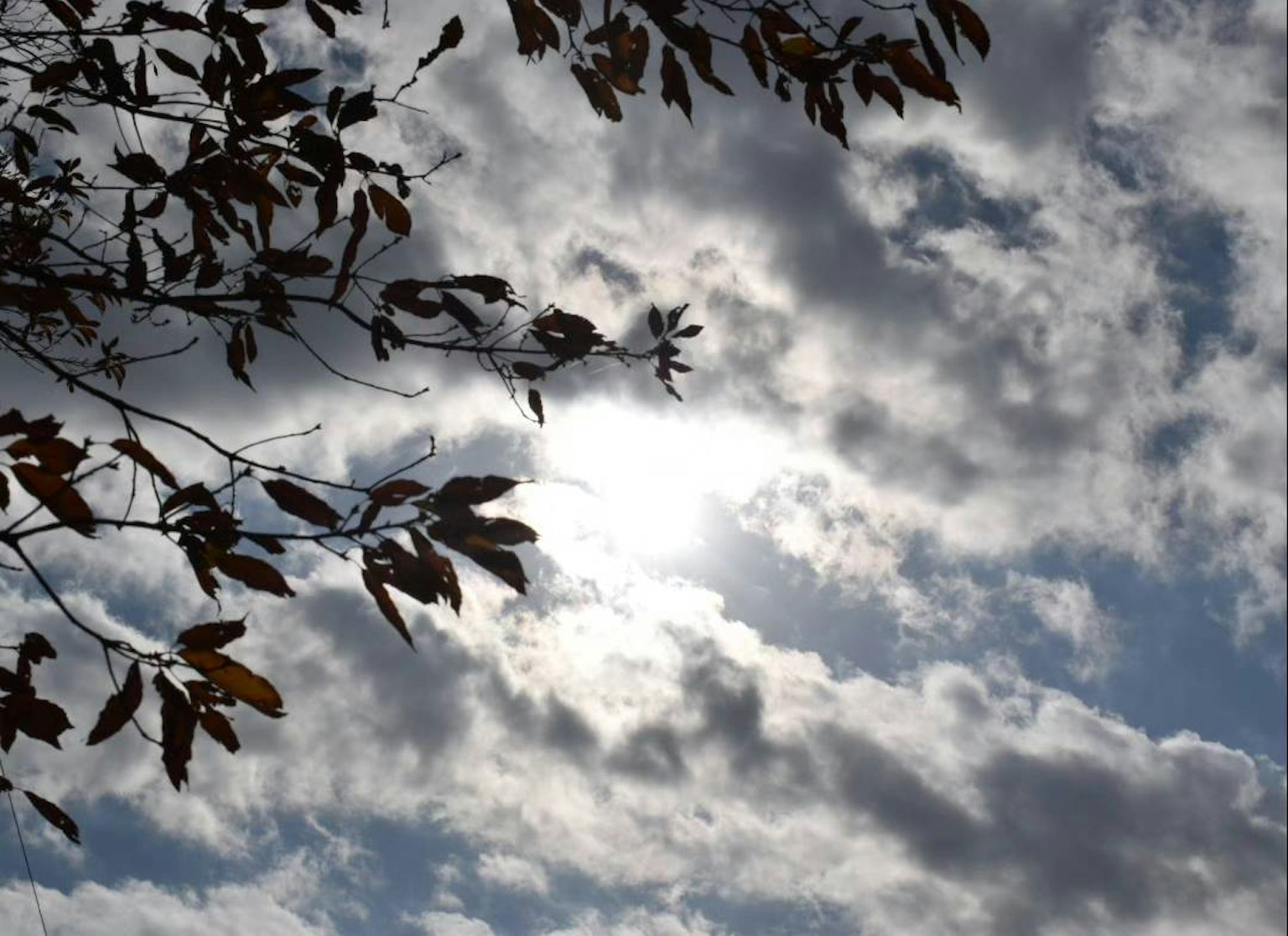 Sonnenlicht, das durch die Wolken scheint, mit Baumästen im Vordergrund