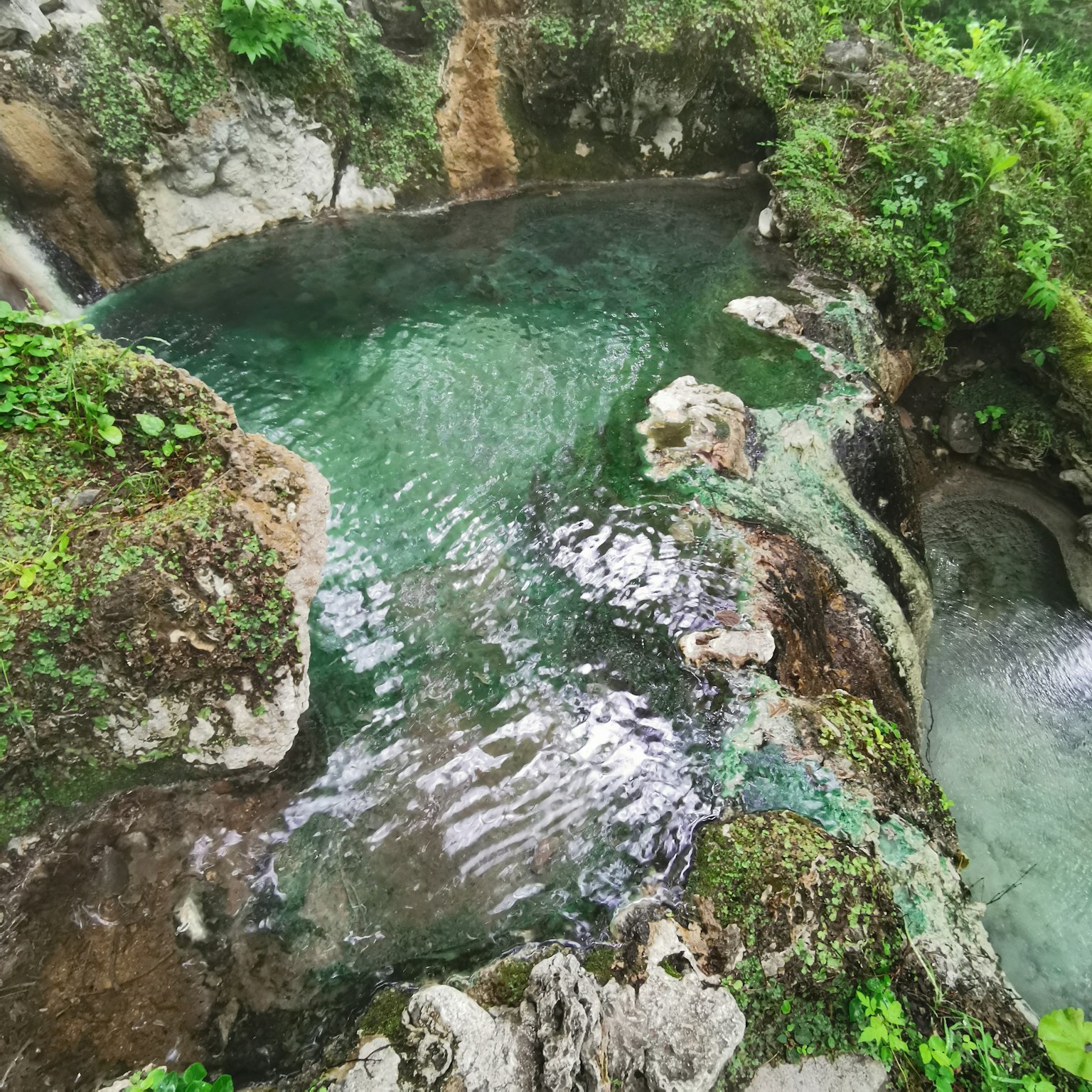 A clear hot spring pool surrounded by greenery and rocks