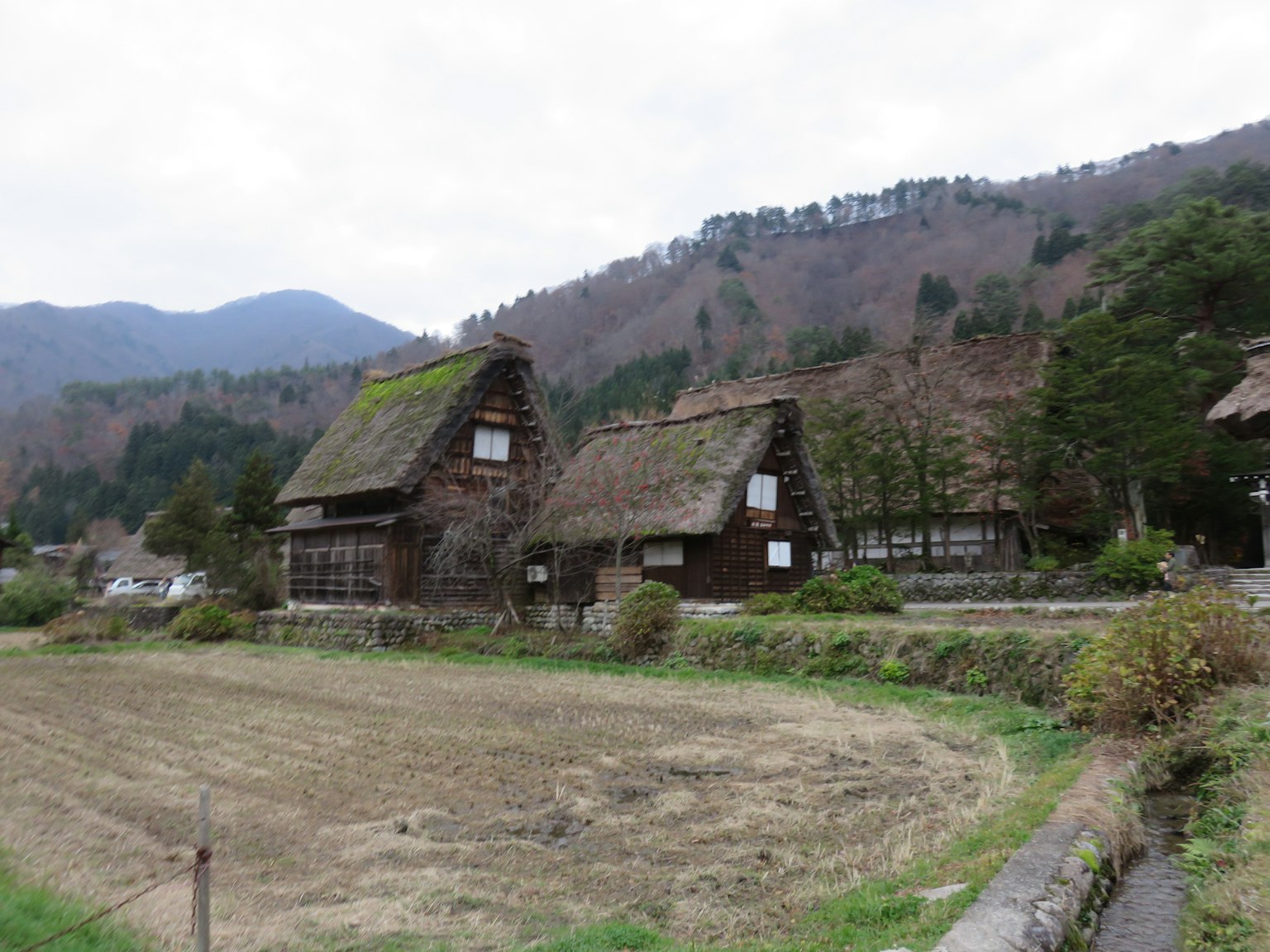 傳統的合掌造屋與山景相映成趣