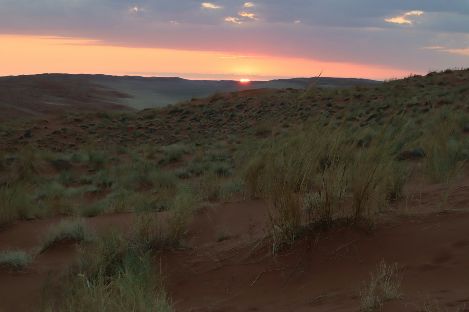 Landschaft bei Sonnenuntergang mit Gras und rötlichem Boden
