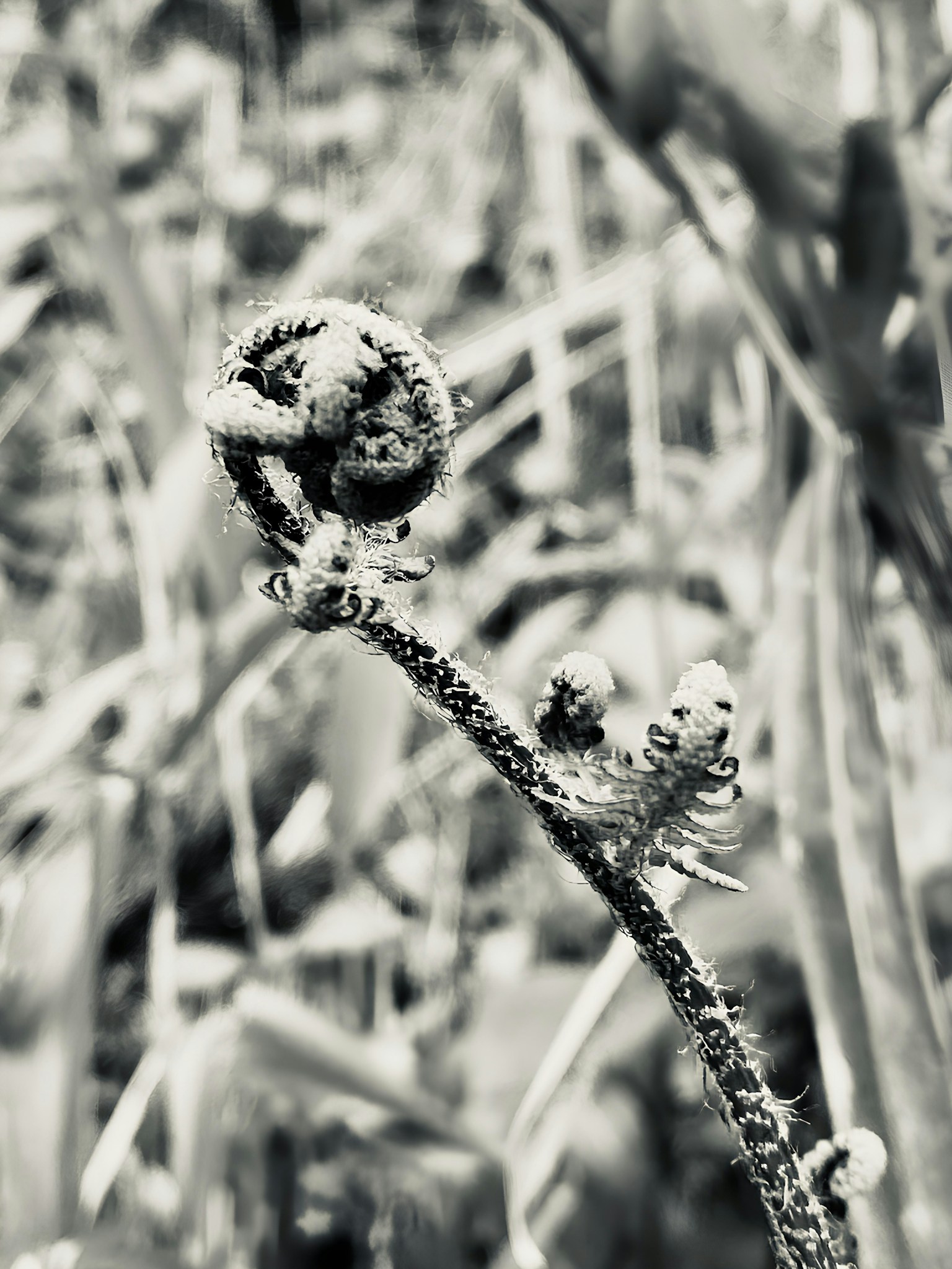 photo-1cEQDzYBSazT0raDPLGY-image