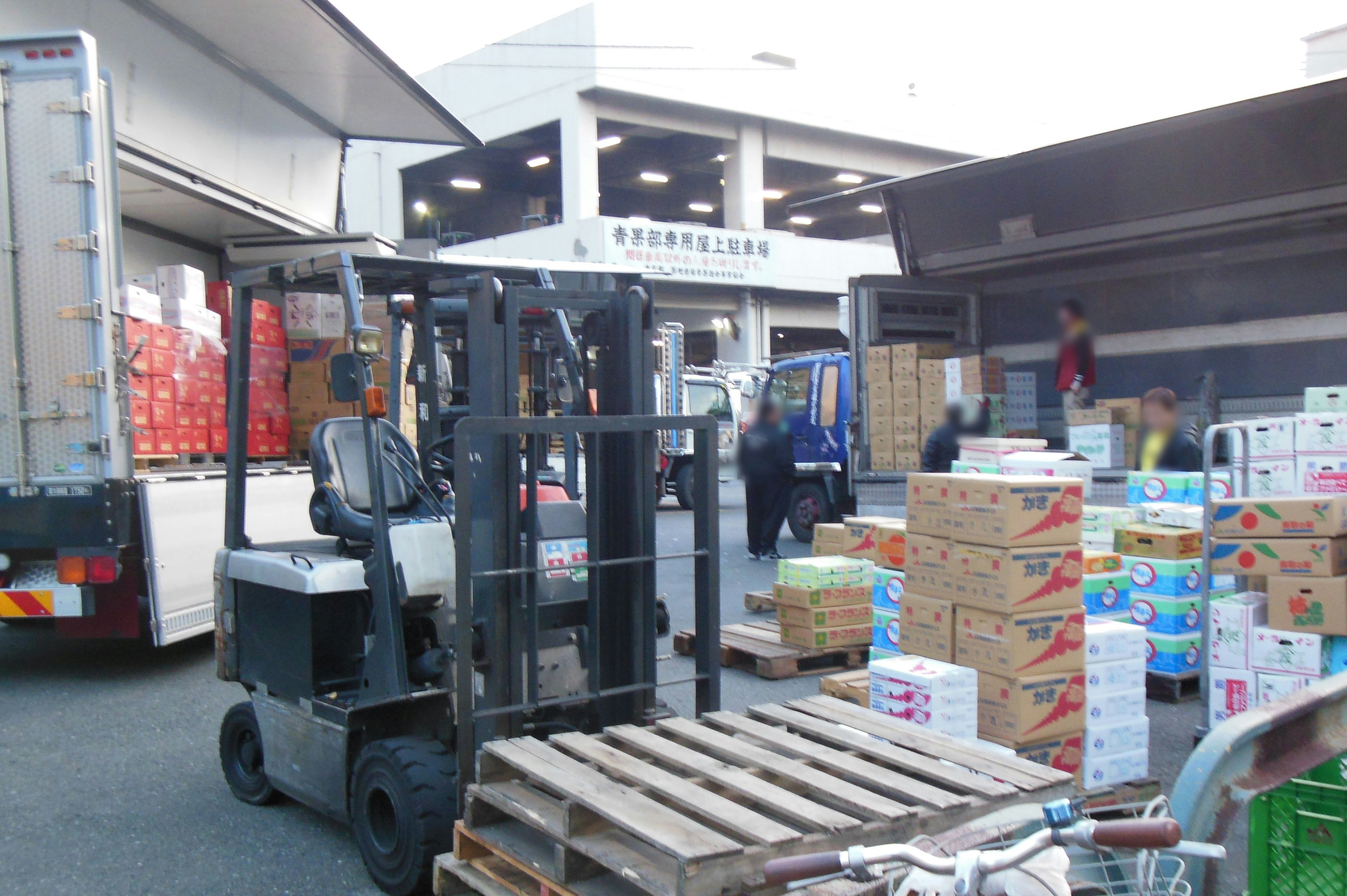 forklift dan tumpukan kardus di area bongkar muat gudang