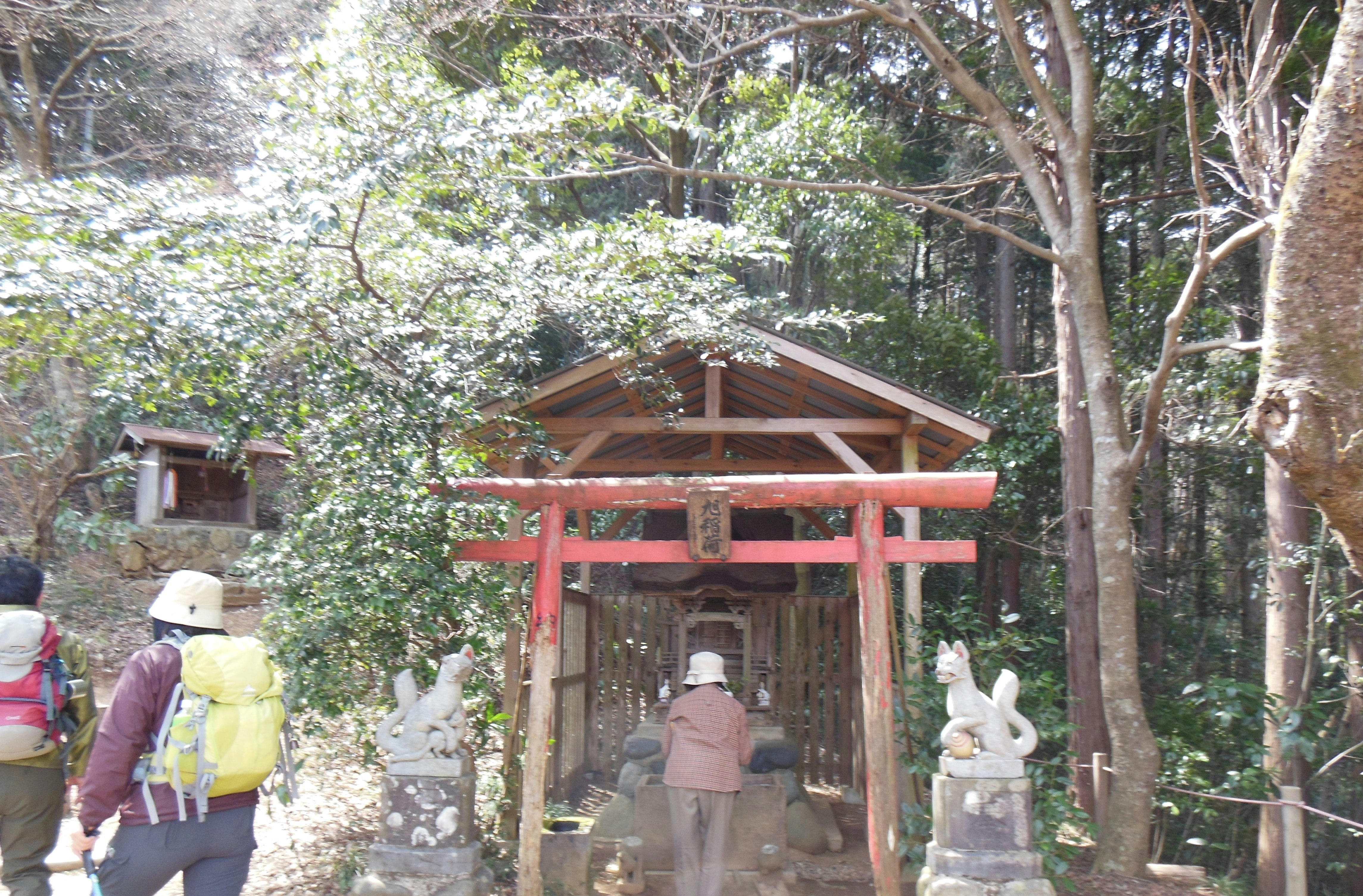 林间小路上的鸟居与小神社