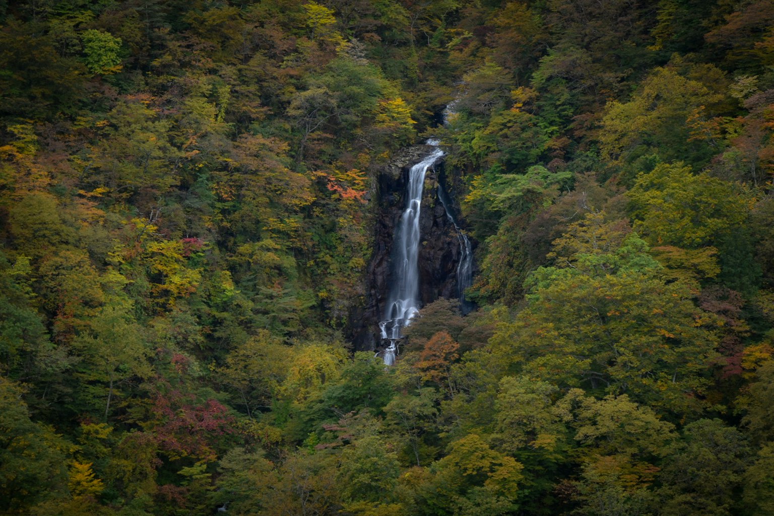 A beautiful waterfall surrounded by lush greenery and autumn colors