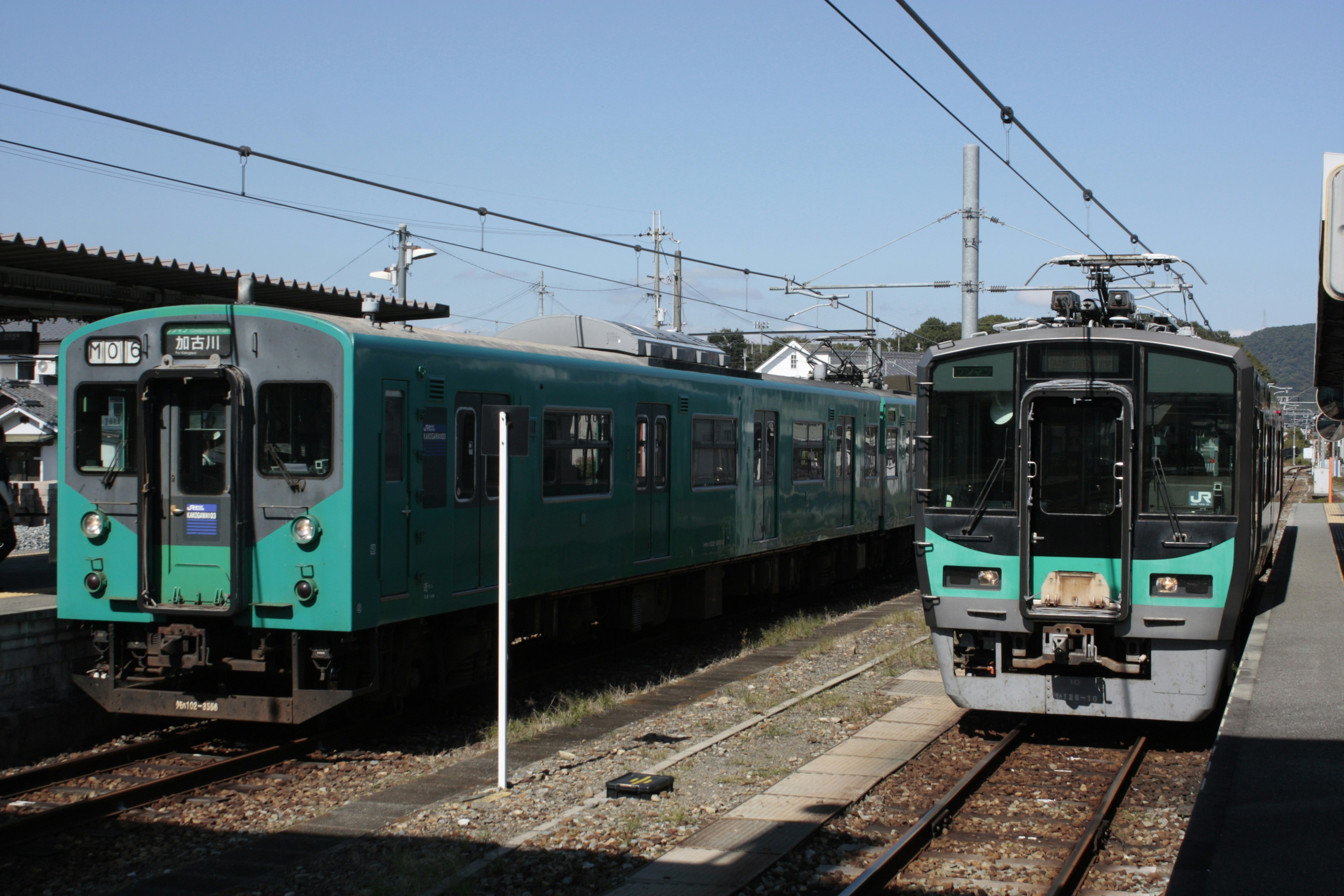 並ぶ緑の電車が停車する鉄道ホームの風景