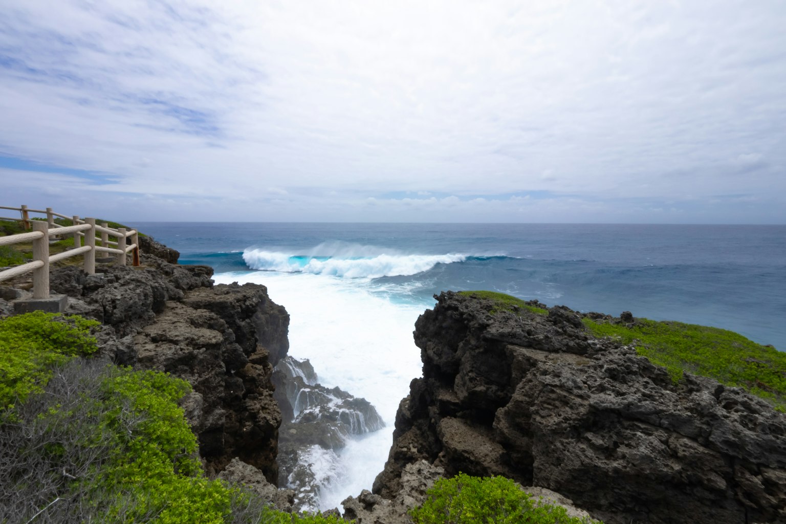 Vue côtière depuis des rochers avec des vagues déferlantes et une végétation luxuriante
