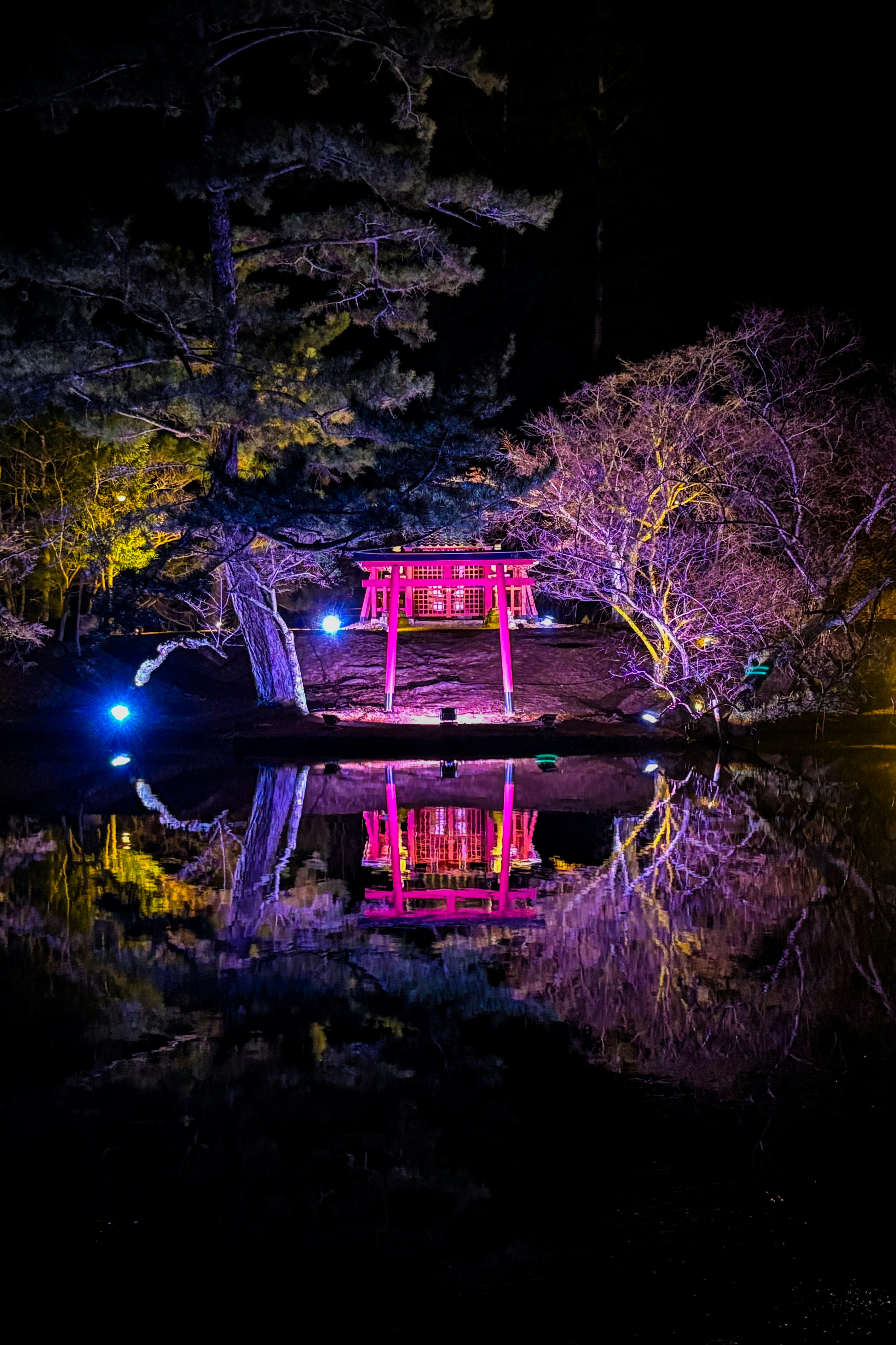 Kagami-ike reflecting the illuminated Todai-ji gate area at night