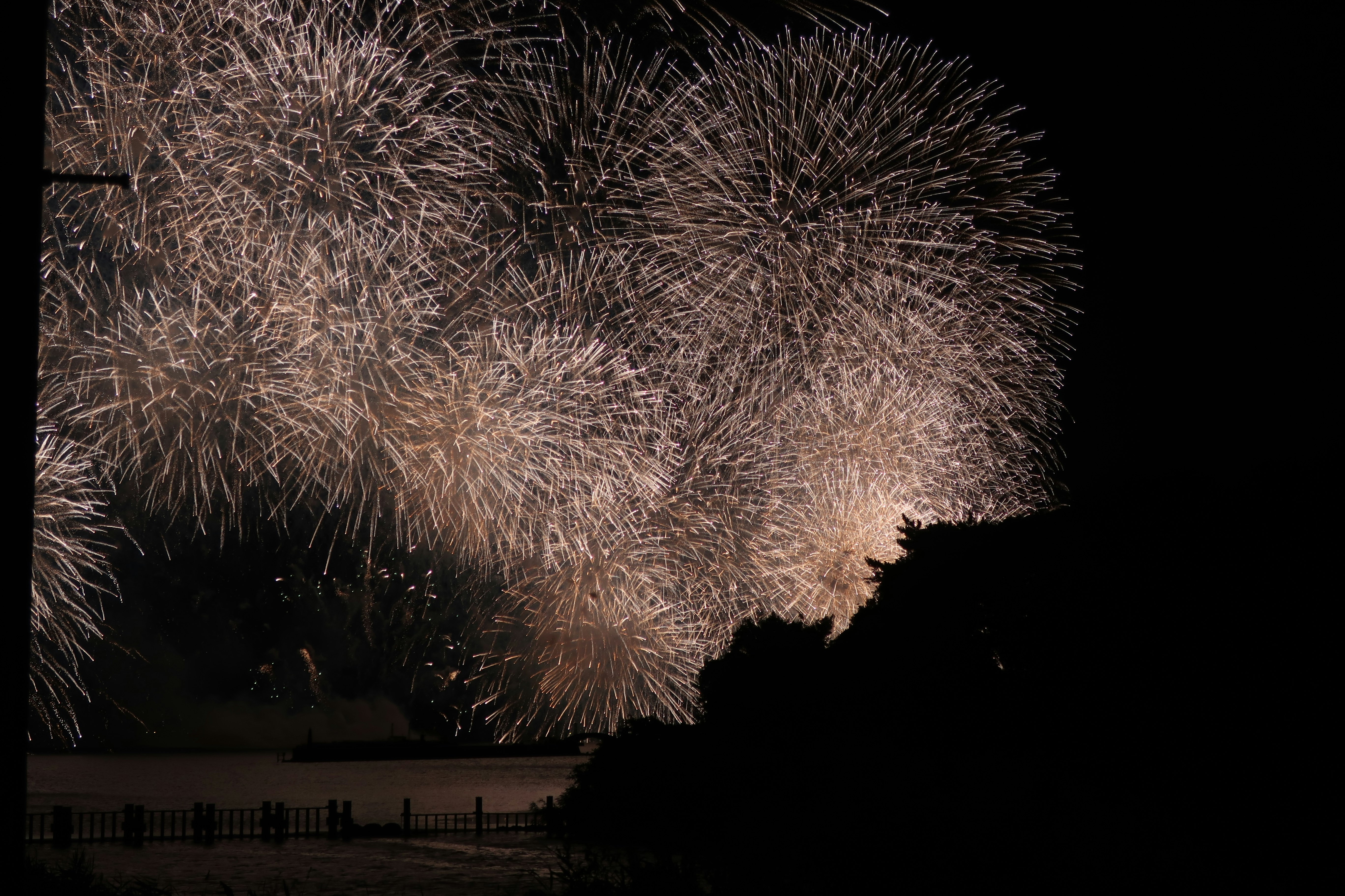 打ち上げ花火が夜空を覆うびわ湖花火大会の会場風景