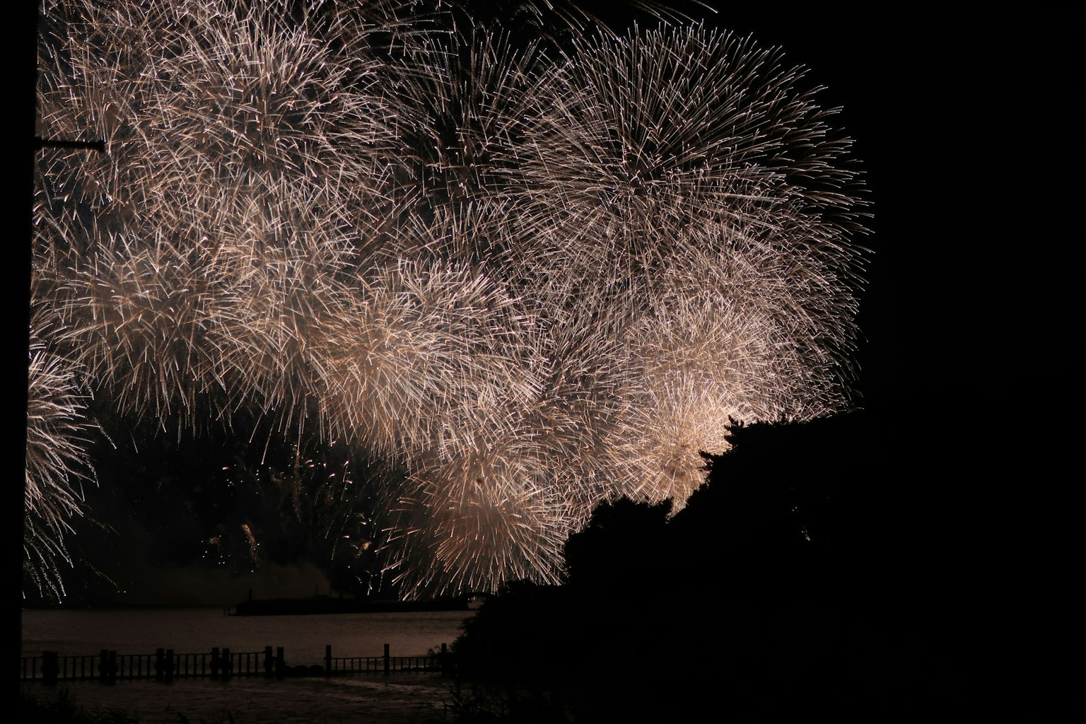 Beautiful scene of fireworks blooming in the night sky