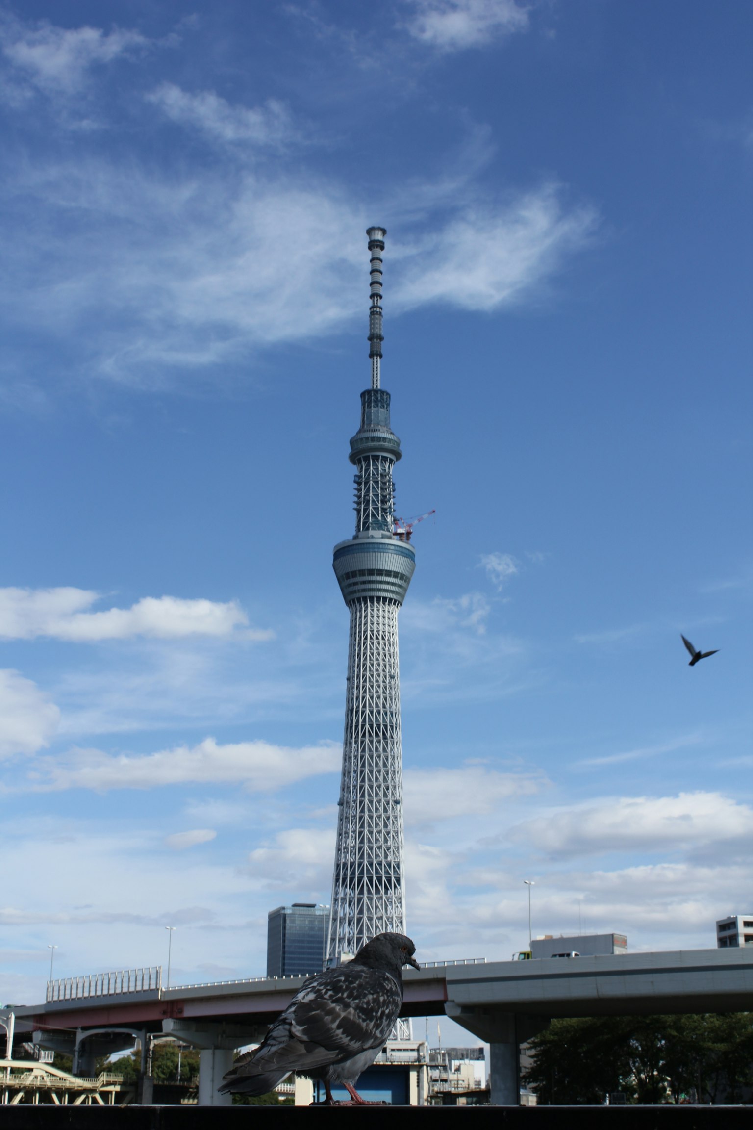 东京晴空下高耸的东京晴空塔