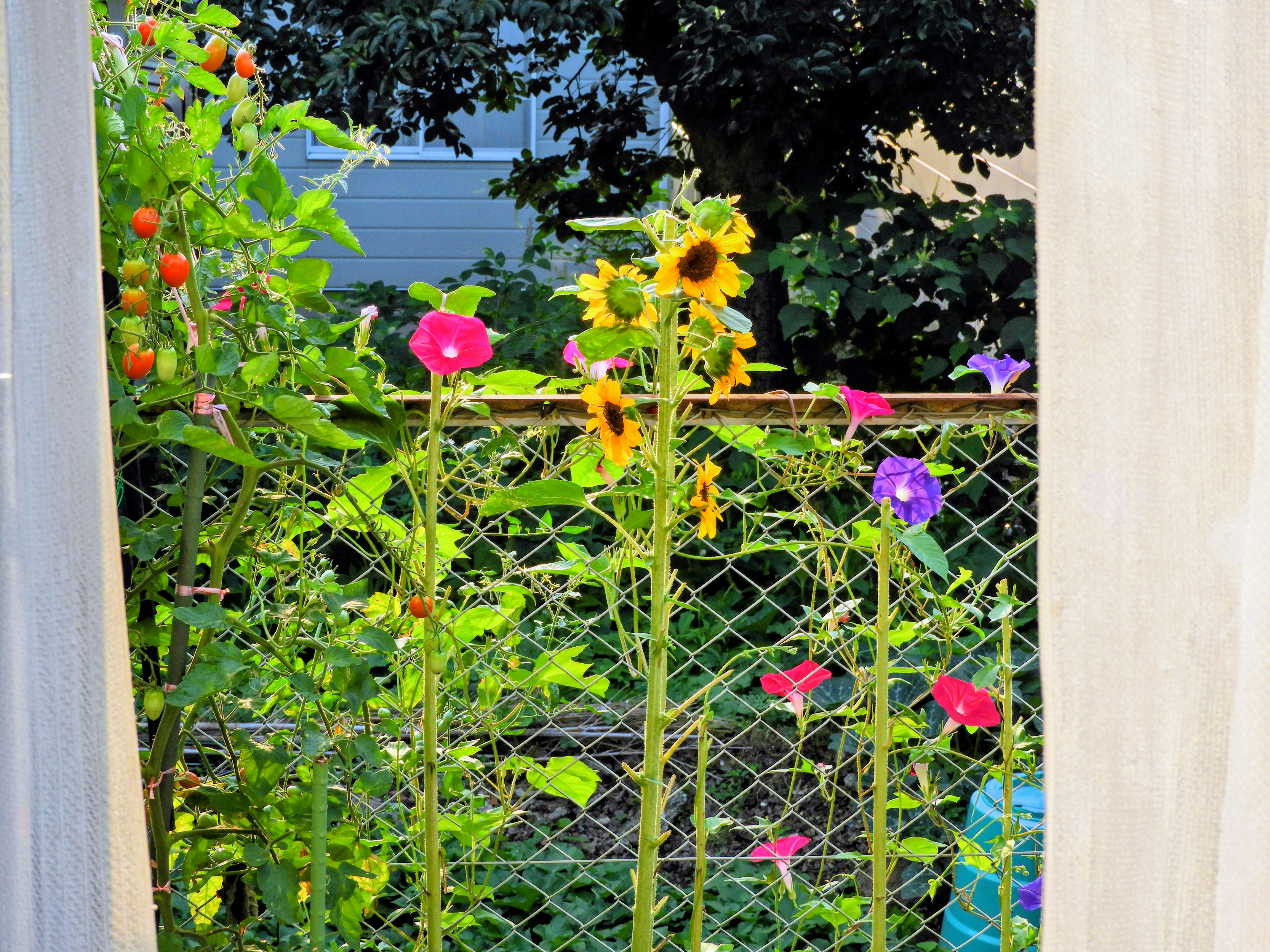 photo-1fHehvZReN8IGOlX3A1p