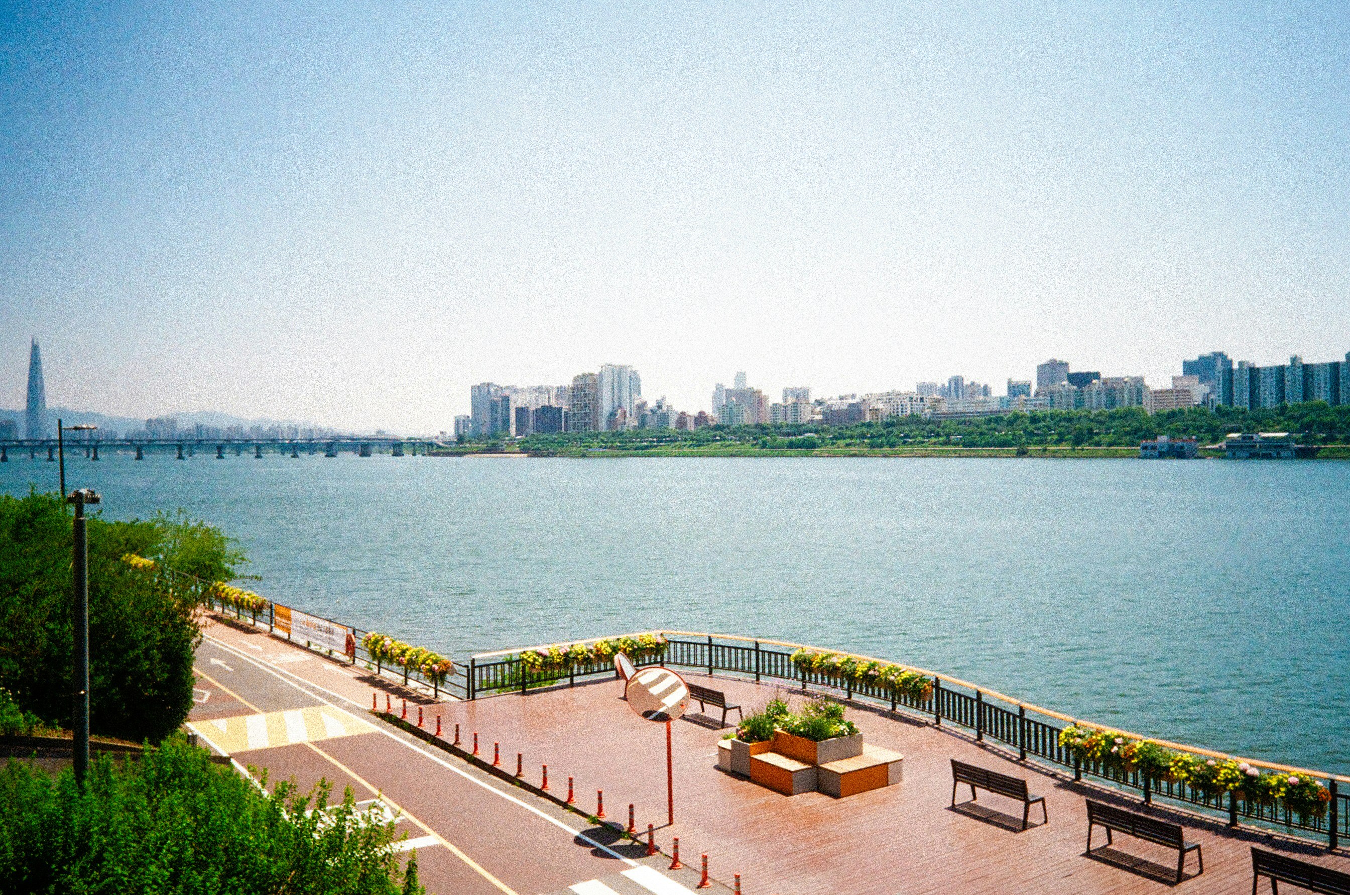 川沿いの遊歩道とベンチのある公園の風景
