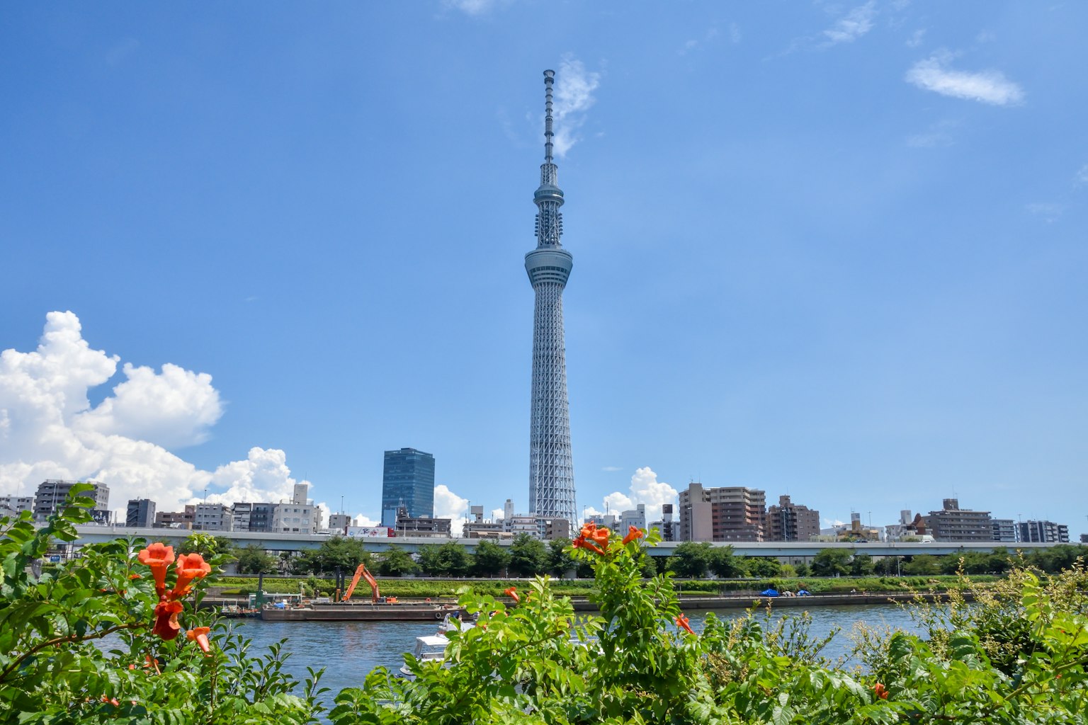 東京晴空下的東京塔，前景有花朵