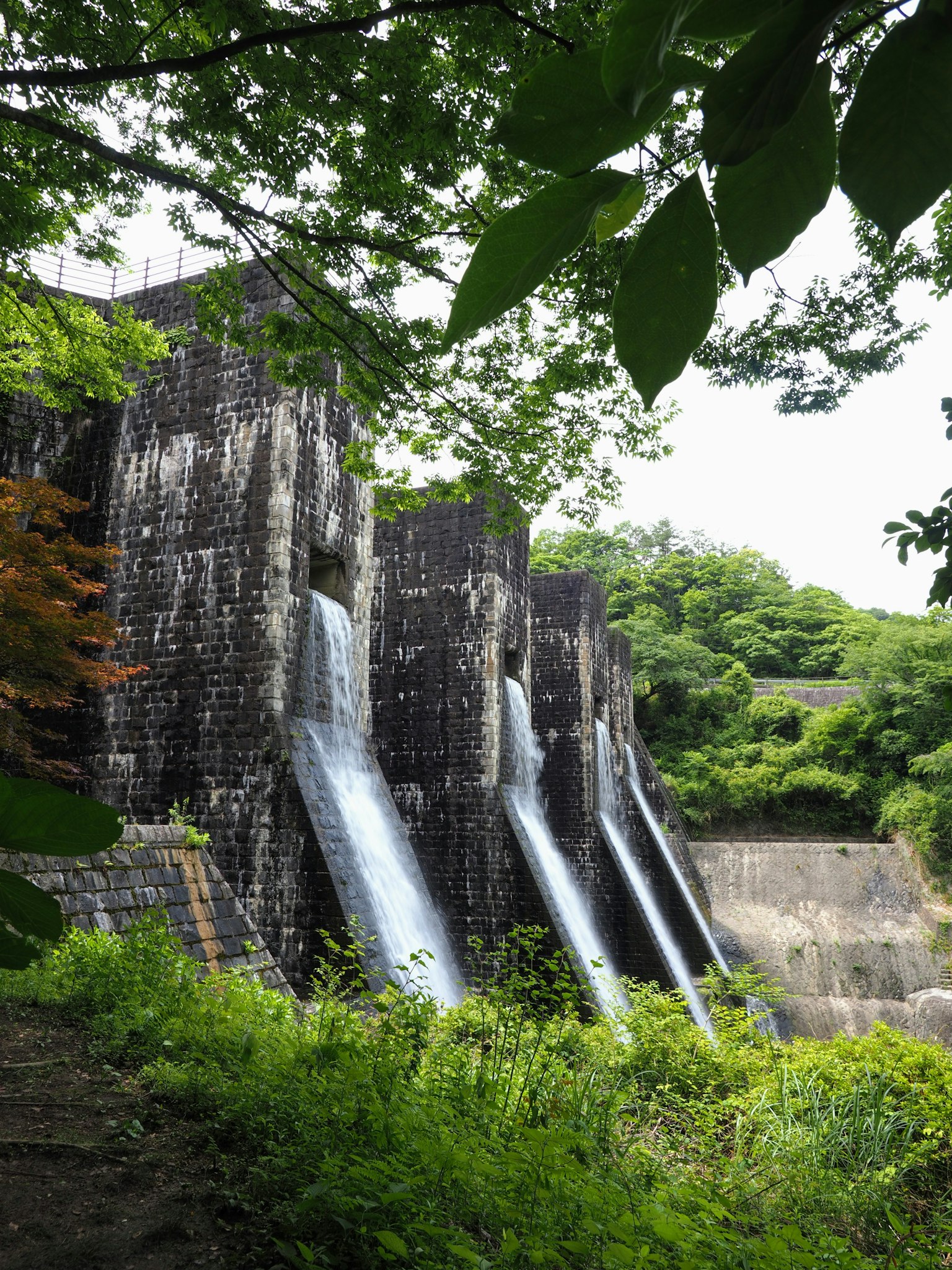 Vecchio dam con un ambiente verdeggiante