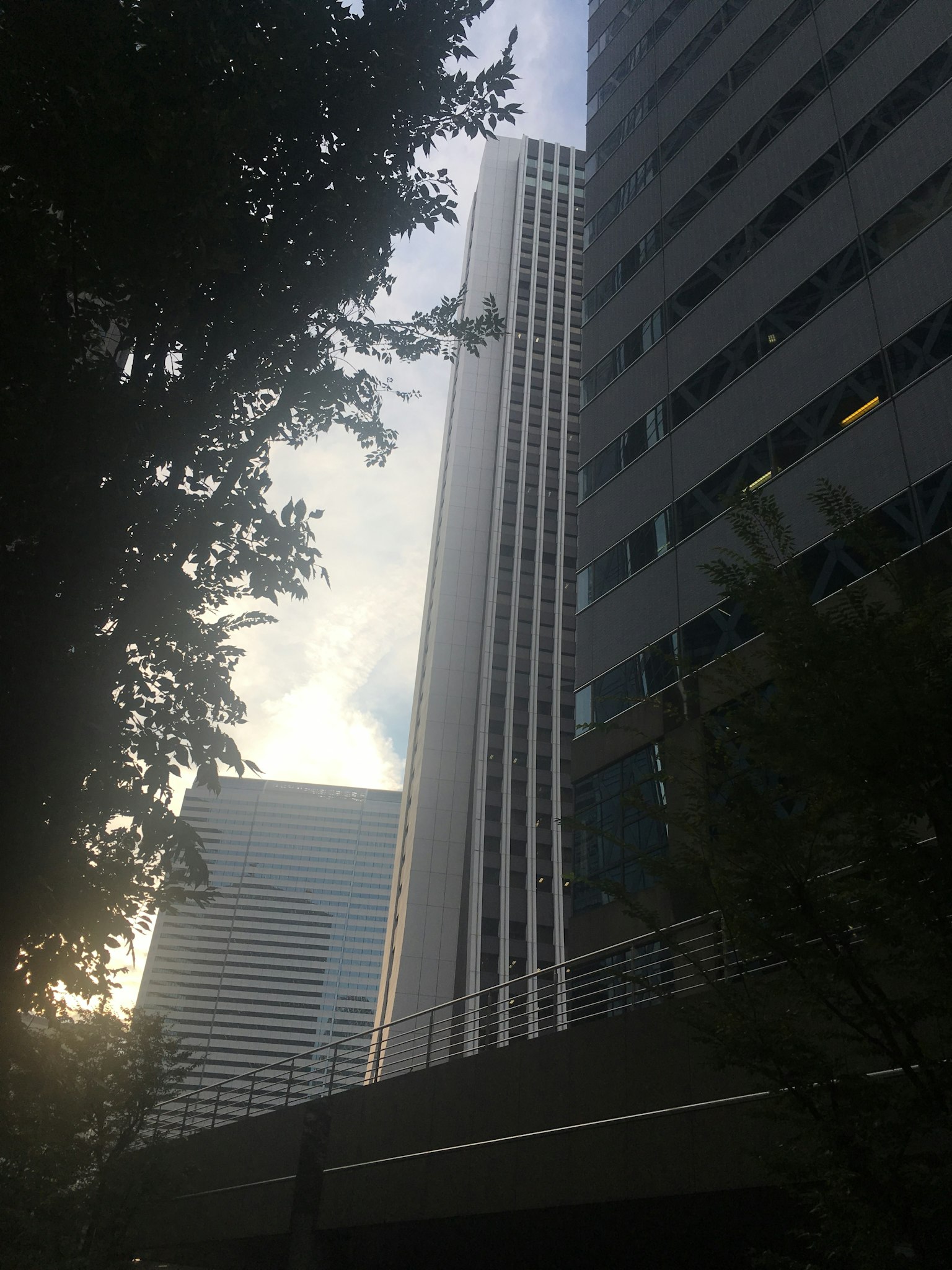 Blick auf ein hohes Gebäude zwischen Bäumen