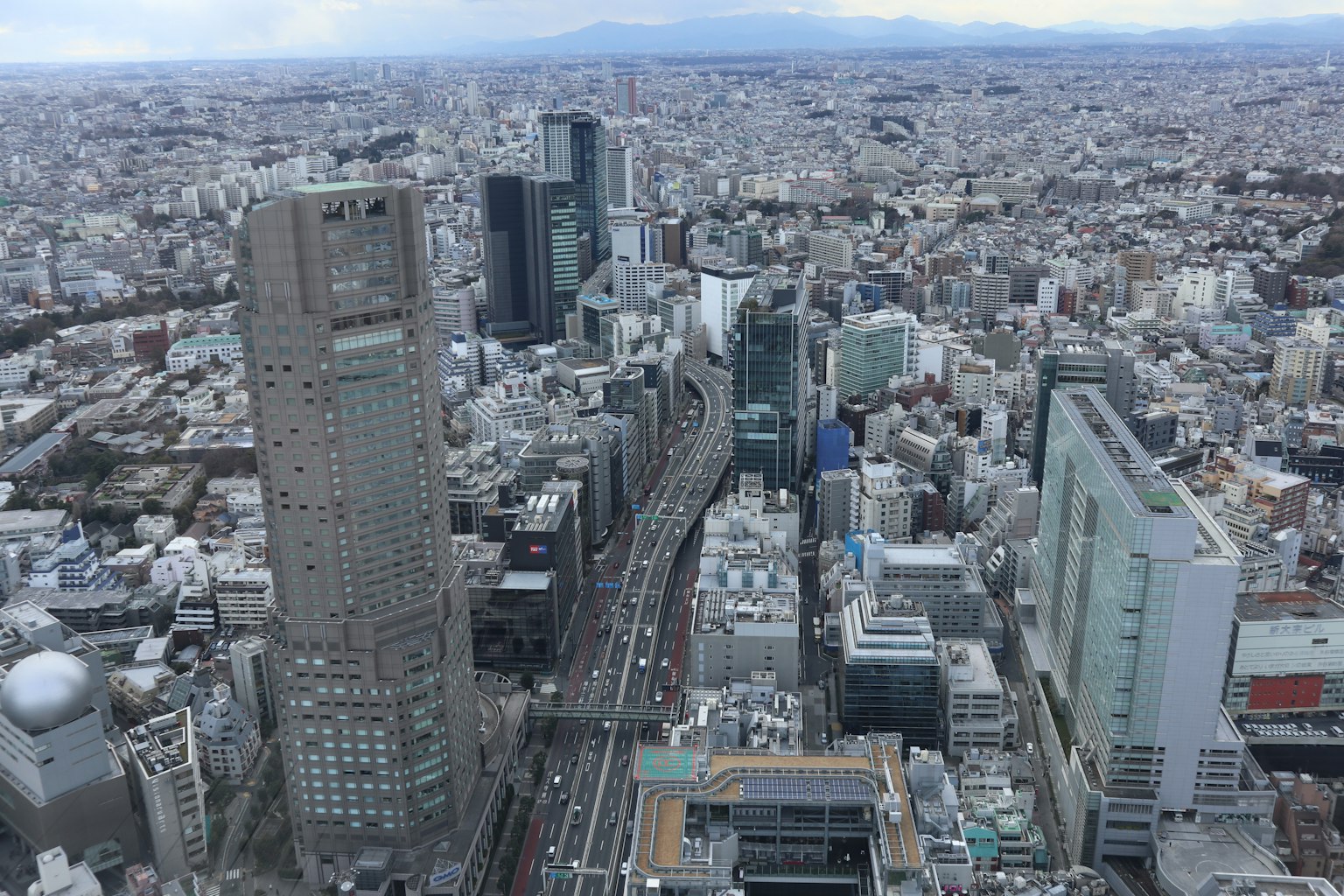 Panoramic view of Tokyo featuring skyscrapers and urban landscape