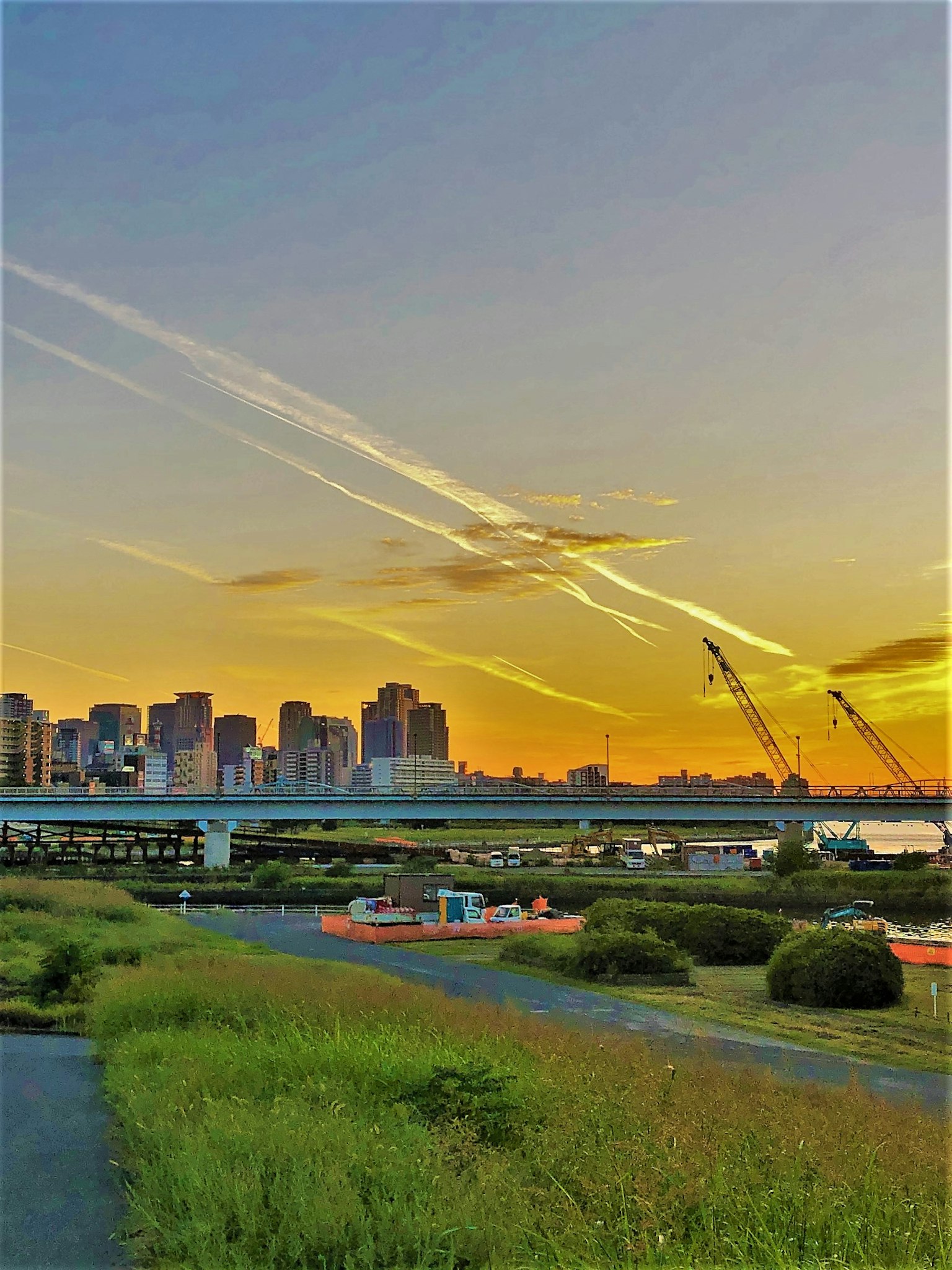 夕阳下城市天际线的美景，绿草和水边